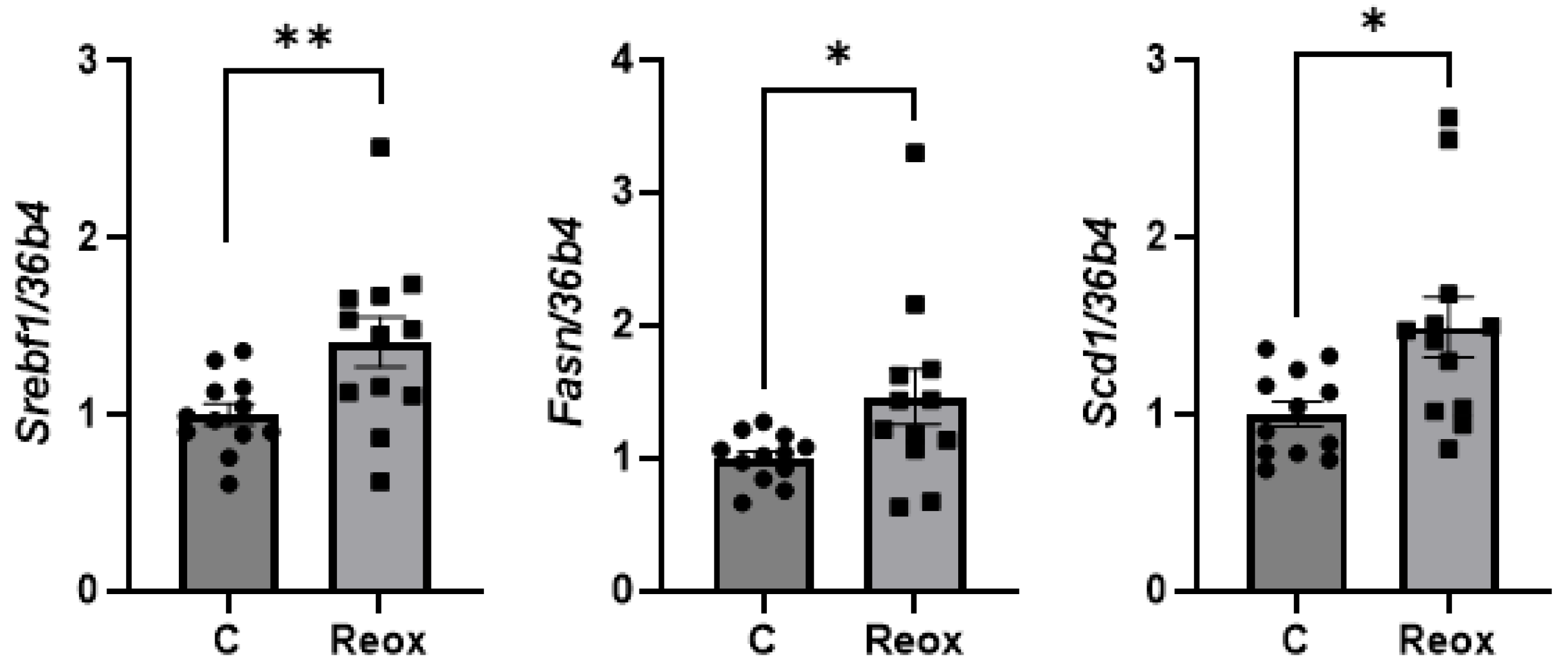 Antioxidants 14 00971 g003 Antioxidants 14 00971 g003
