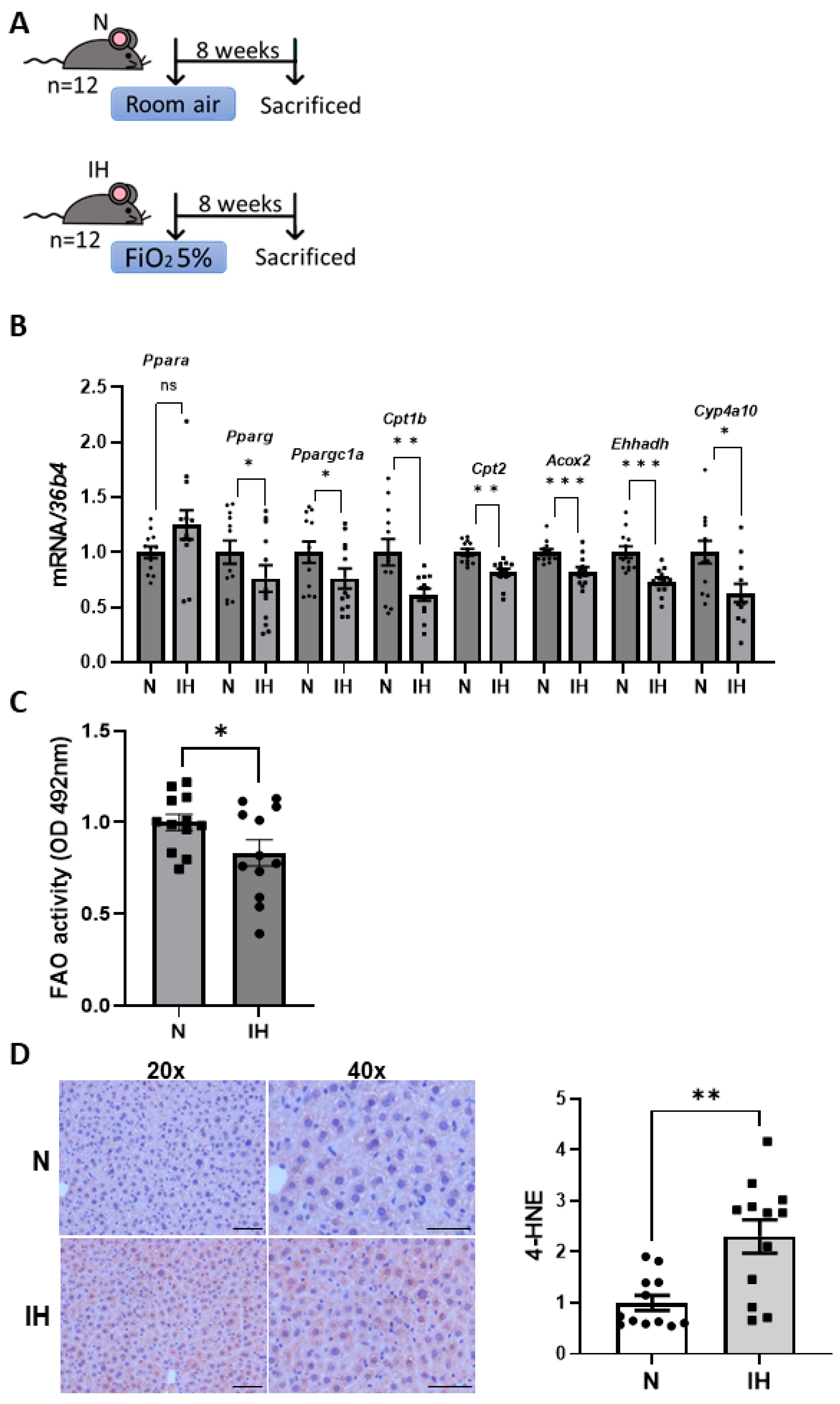 Antioxidants 14 00971 g004 Antioxidants 14 00971 g004