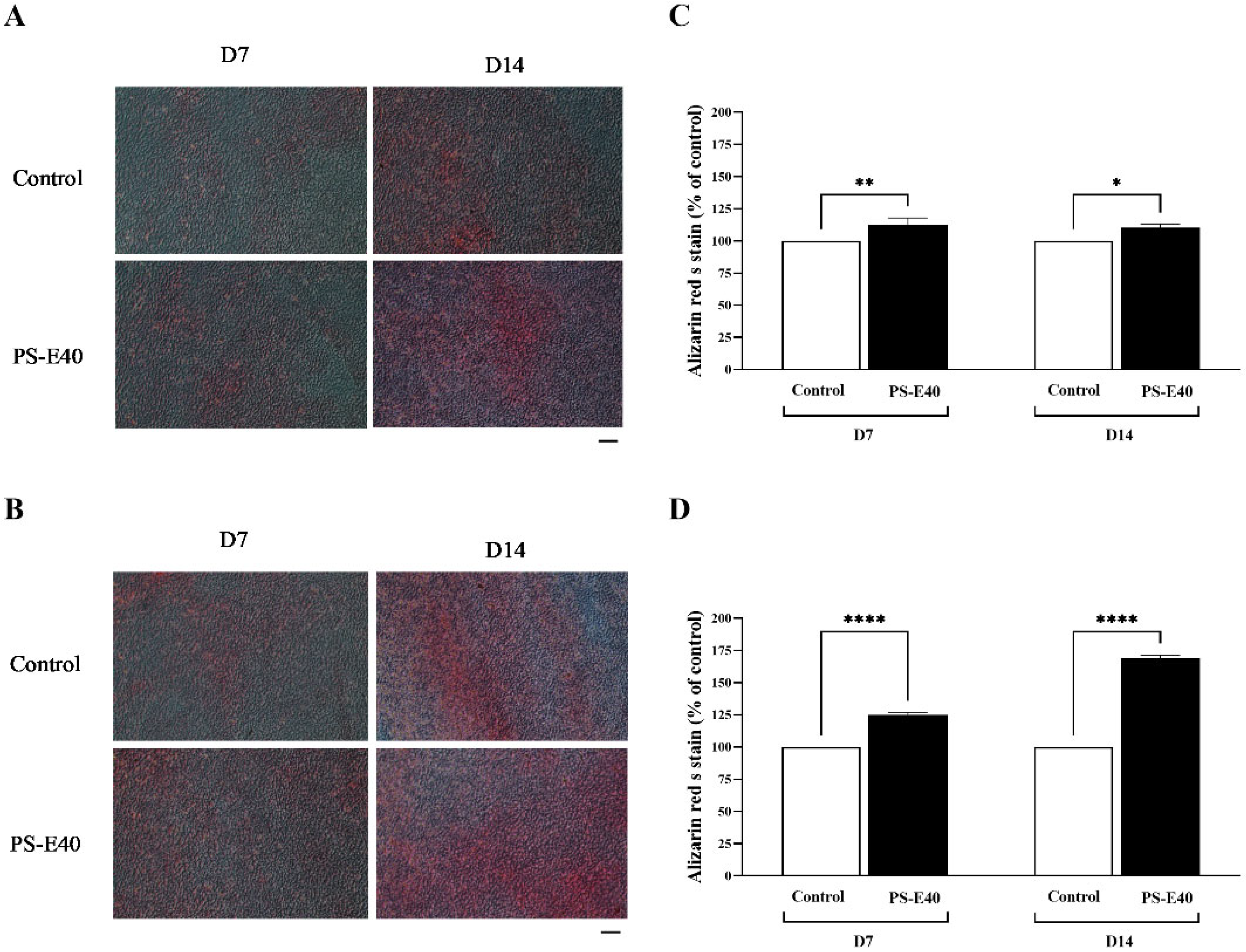 Antioxidants 14 00973 g005 Antioxidants 14 00973 g005