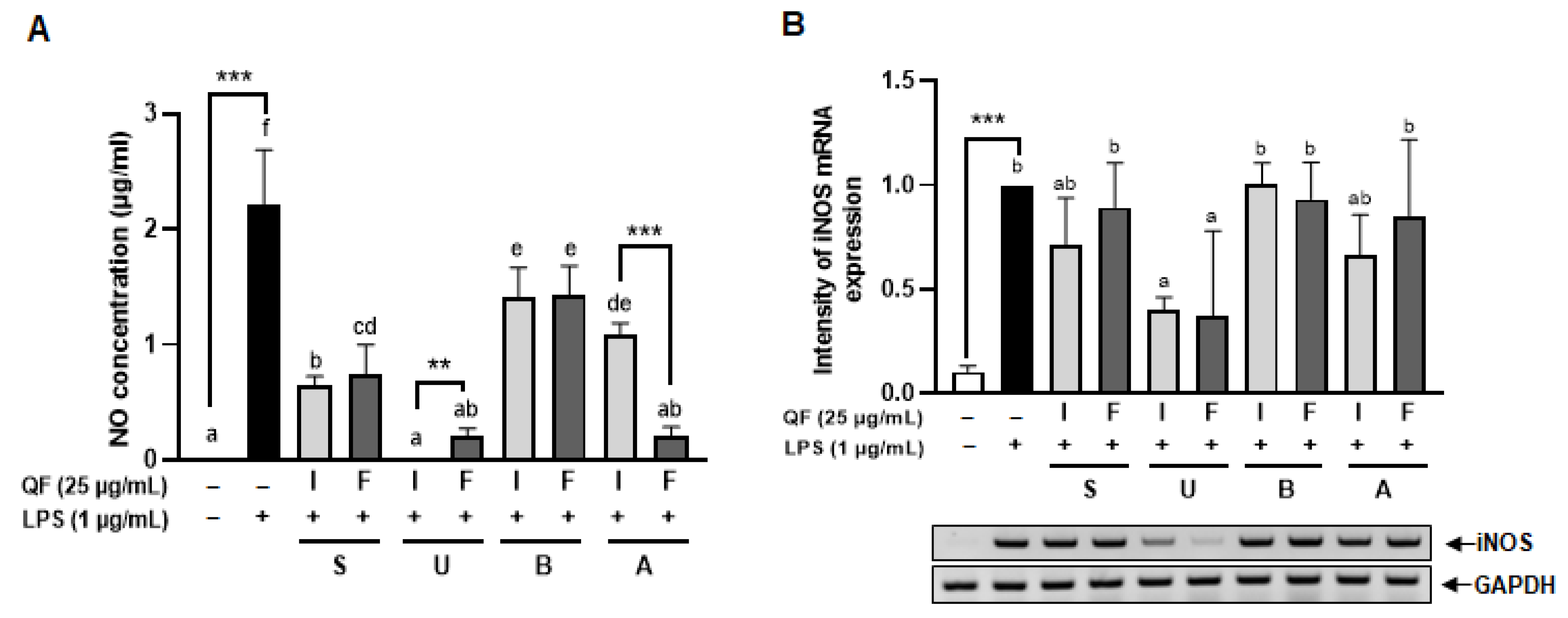 Antioxidants 14 00976 g004