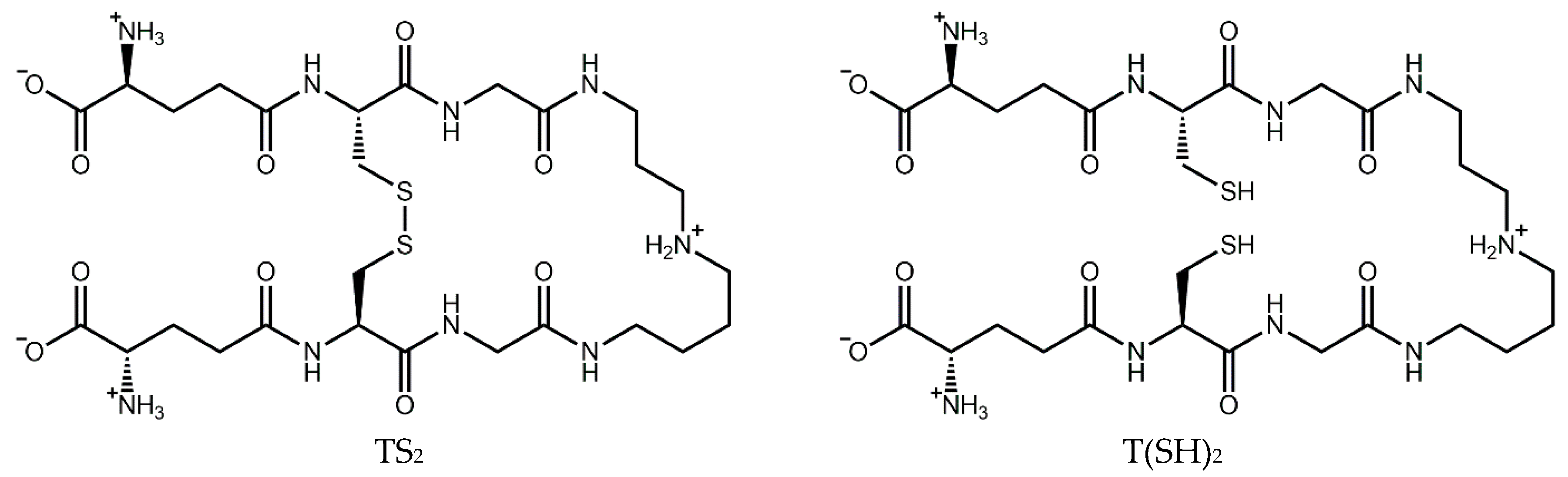 Antioxidants 14 00977 g001