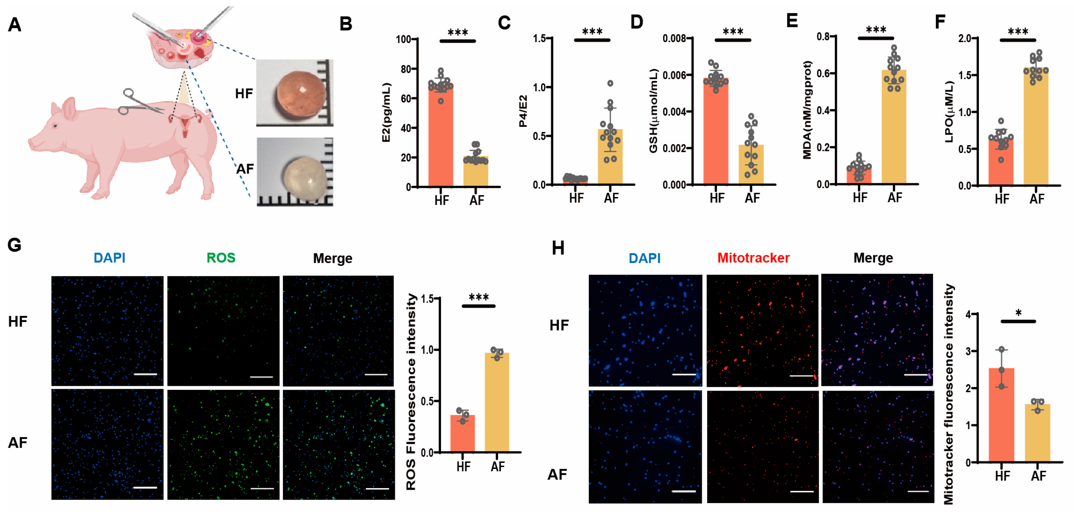 Antioxidants 14 00978 g001