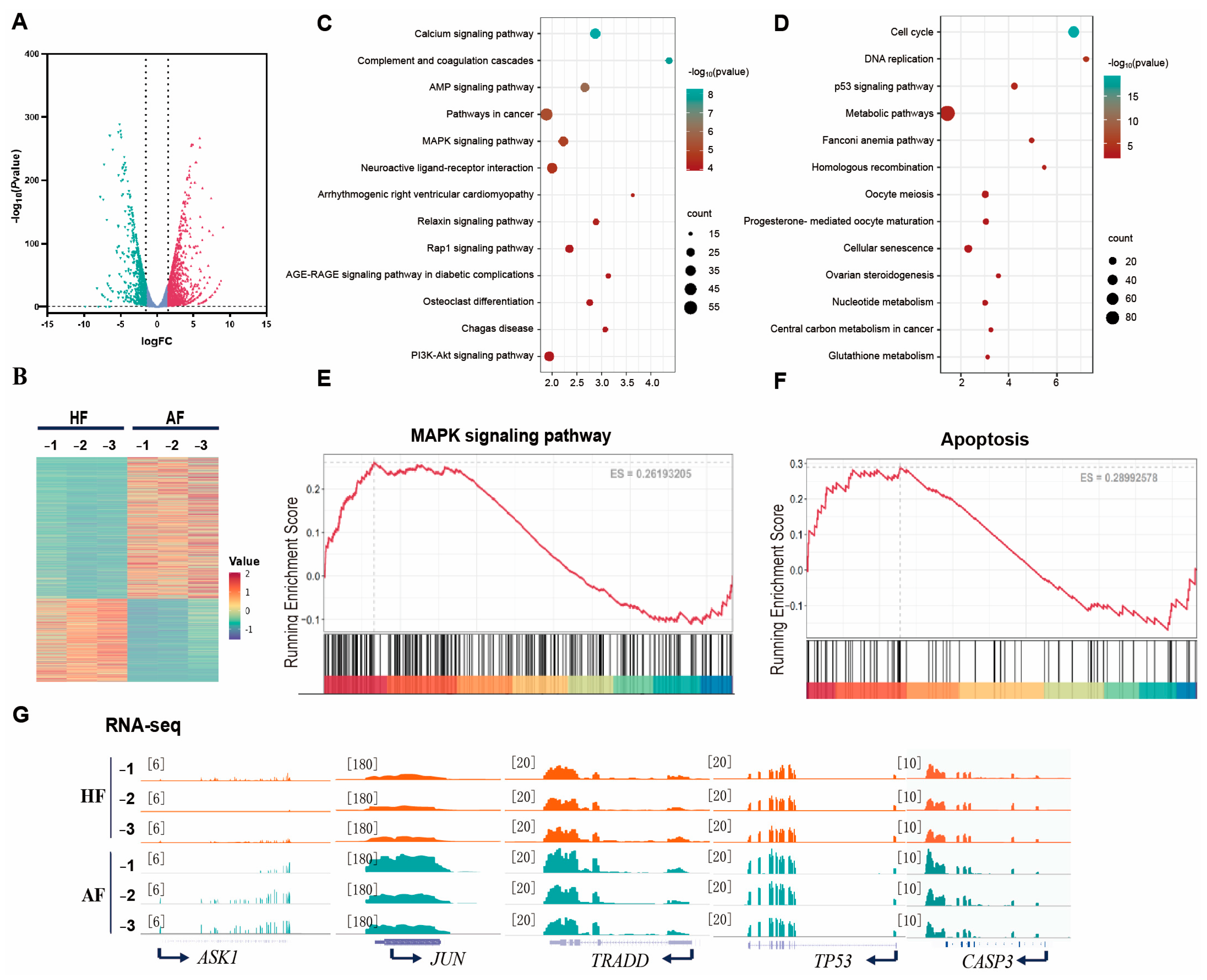 Antioxidants 14 00978 g002