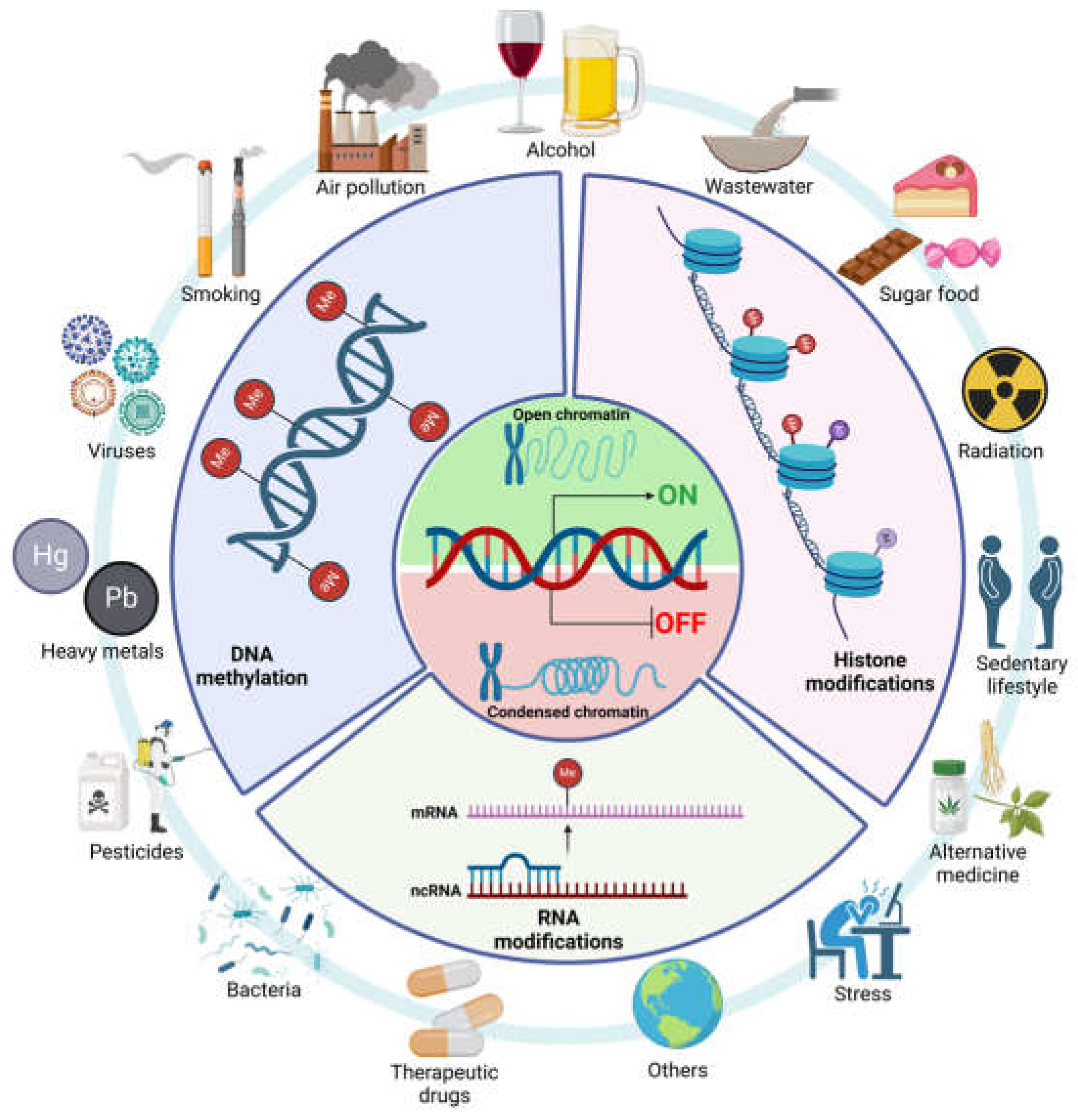 Antioxidants 14 00979 g003