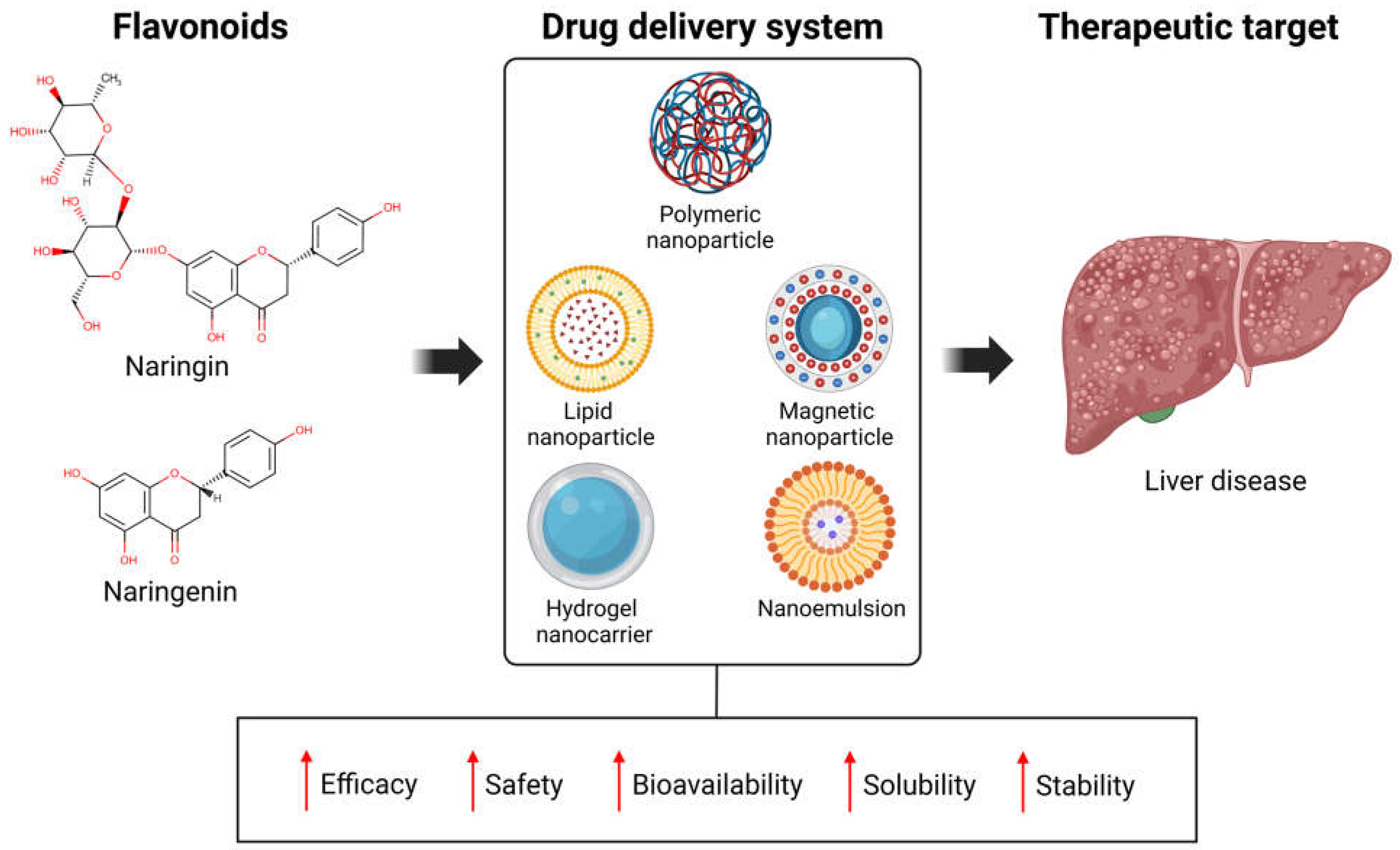 Antioxidants 14 00979 g004