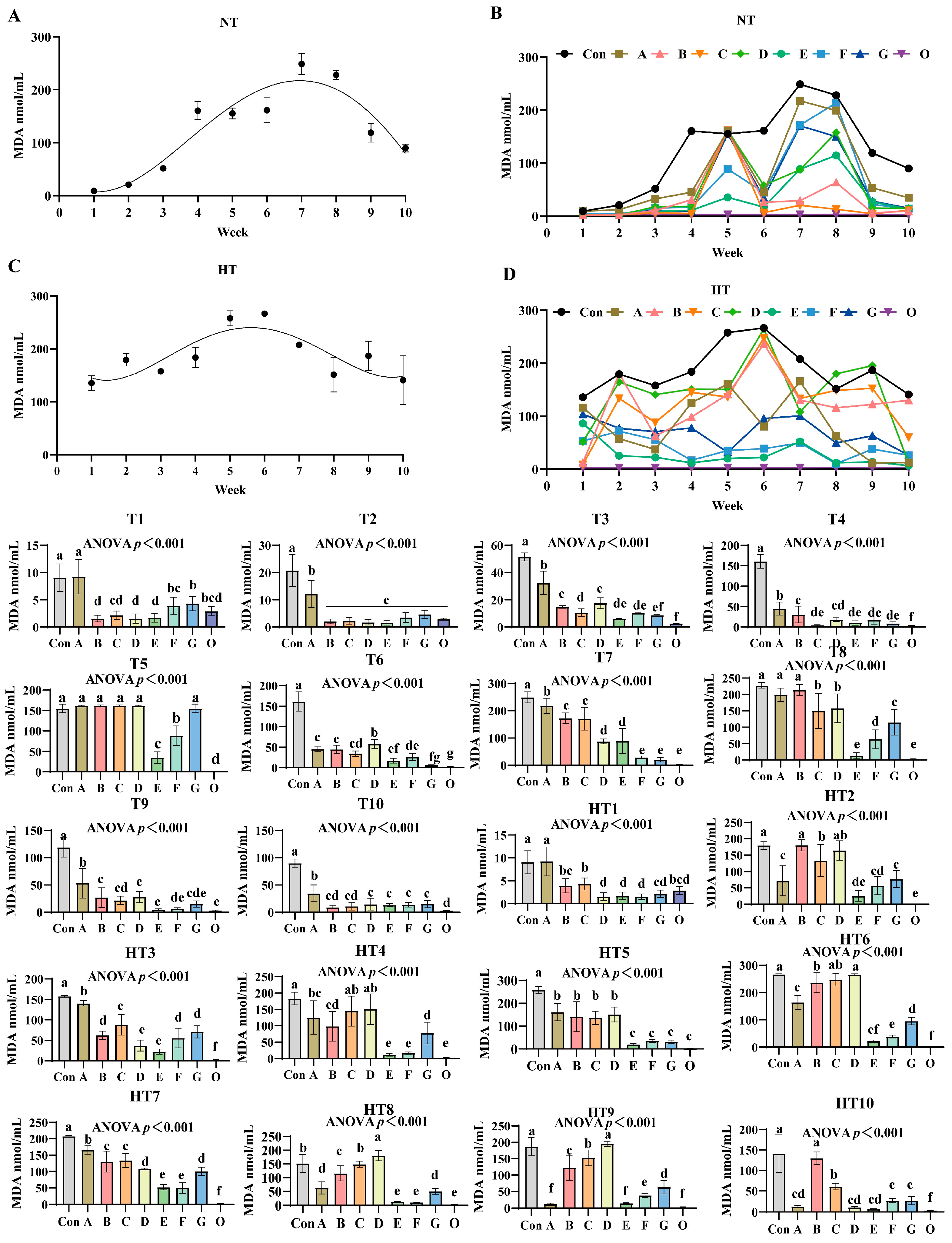Antioxidants 14 00981 g009 Antioxidants 14 00981 g009