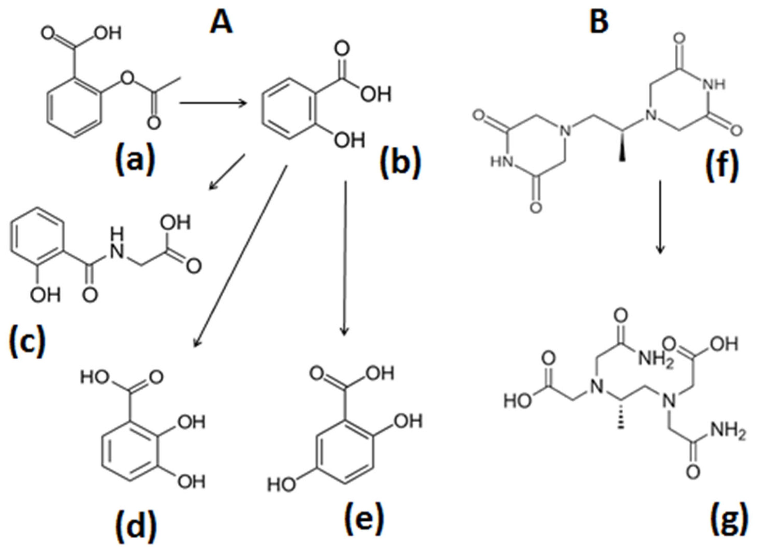 Antioxidants 14 00982 g004