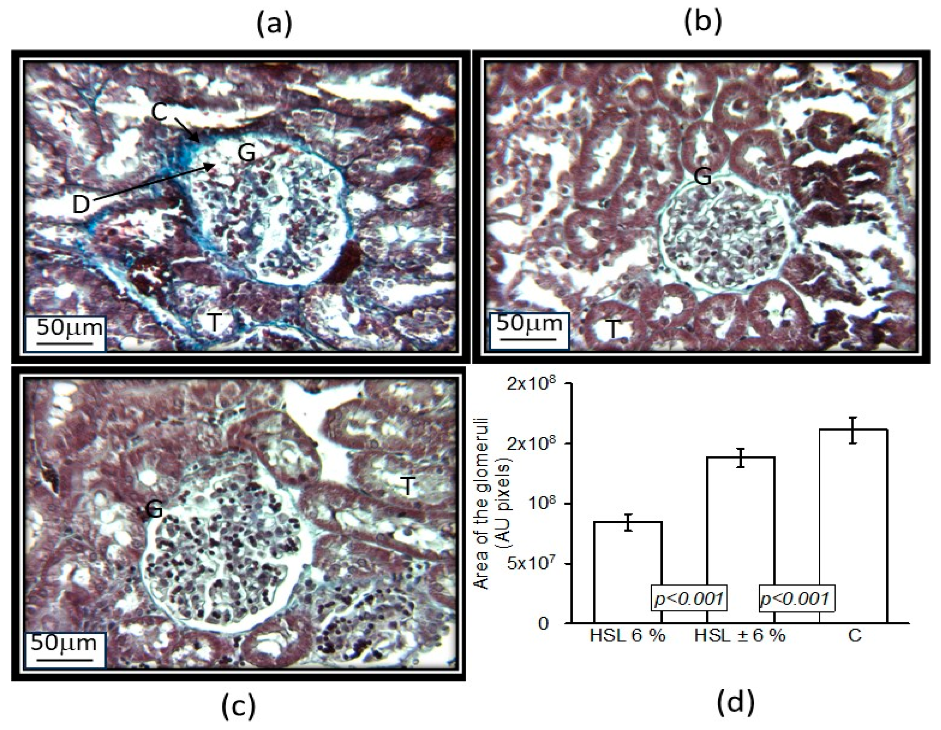 Antioxidants 14 00984 g003 Antioxidants 14 00984 g003