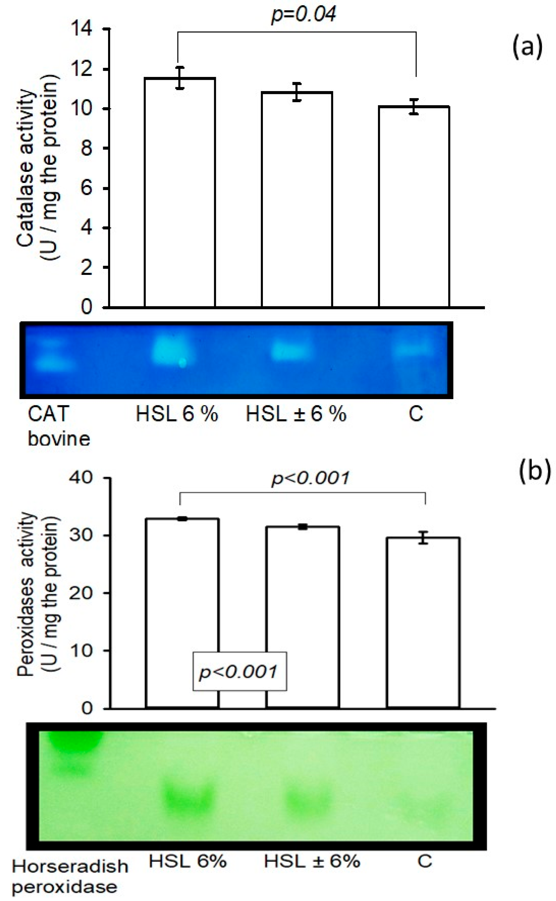 Antioxidants 14 00984 g005 Antioxidants 14 00984 g005