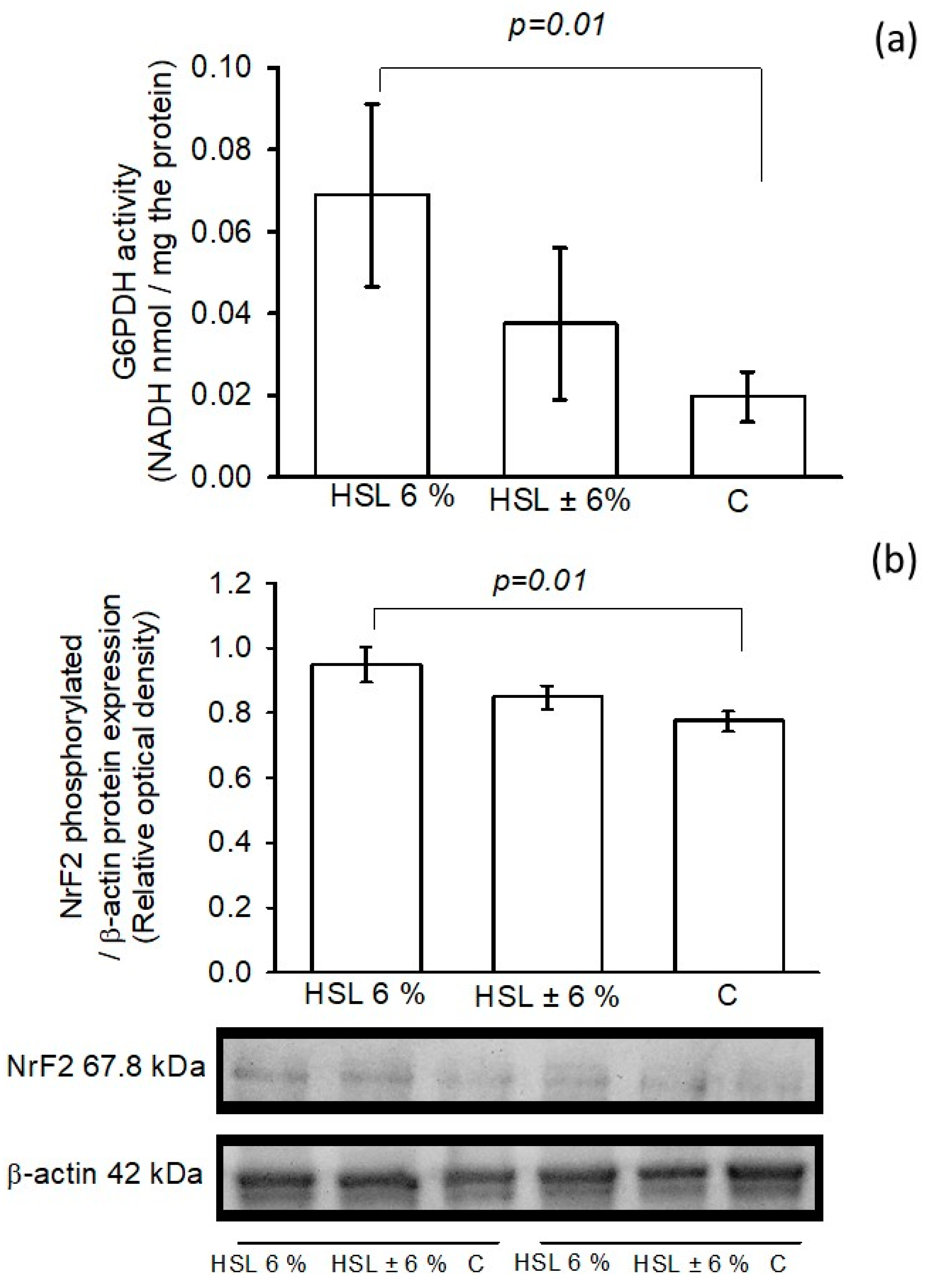 Antioxidants 14 00984 g008 Antioxidants 14 00984 g008