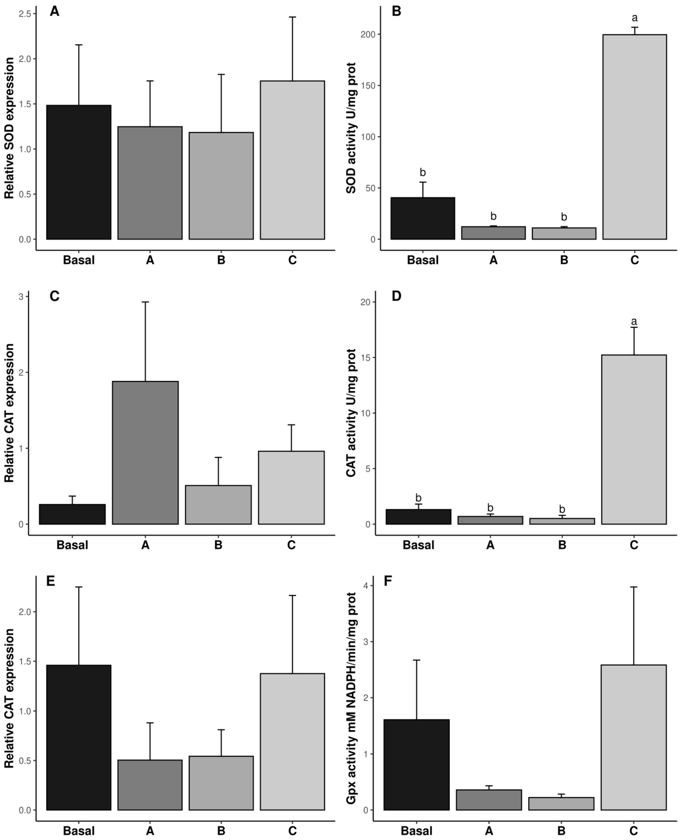 Antioxidants 14 00988 g002