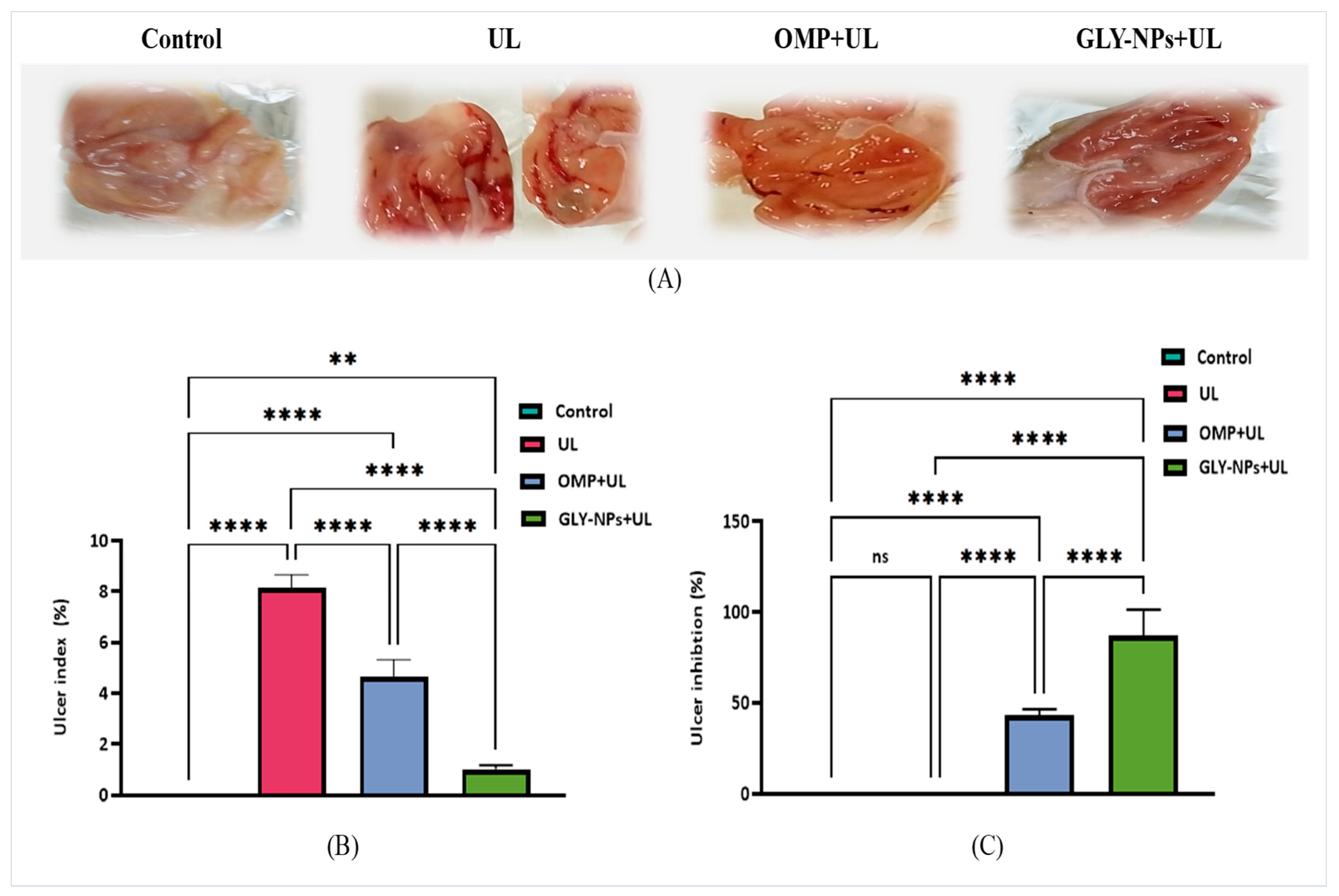 Antioxidants 14 00990 g004 Antioxidants 14 00990 g004