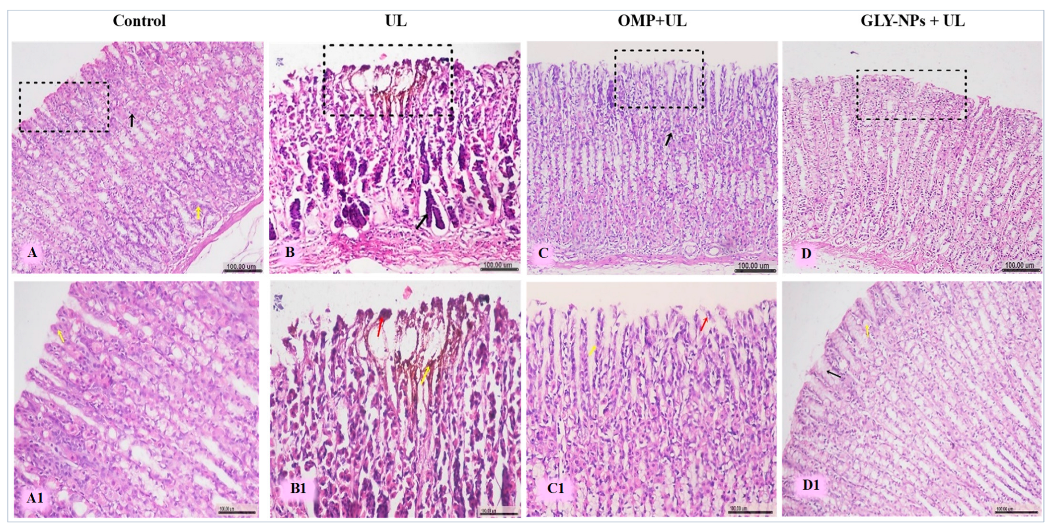 Antioxidants 14 00990 g010 Antioxidants 14 00990 g010