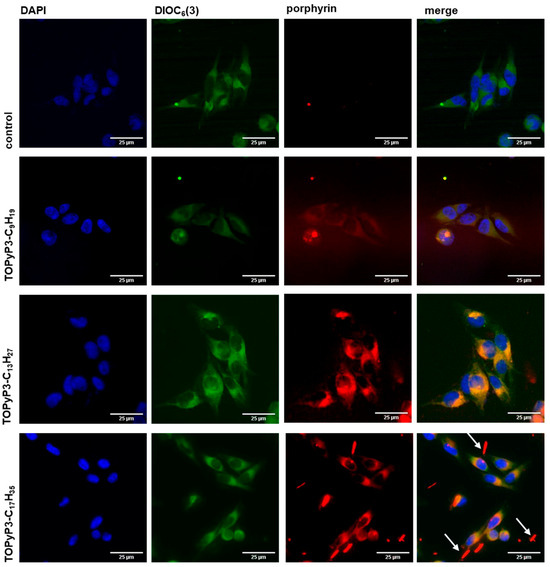 Antioxidants 14 00992 g005