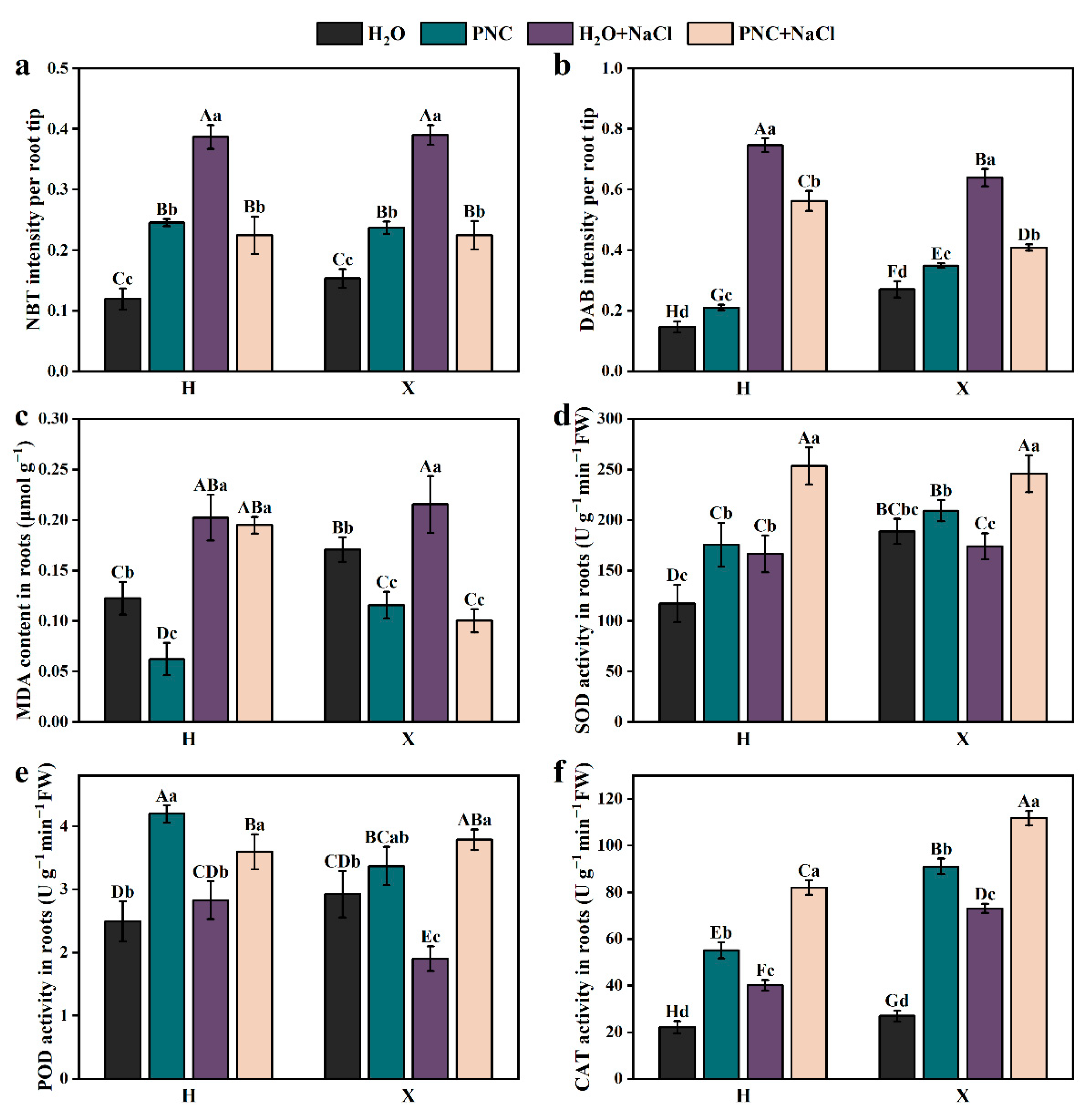 Antioxidants 14 00994 g003