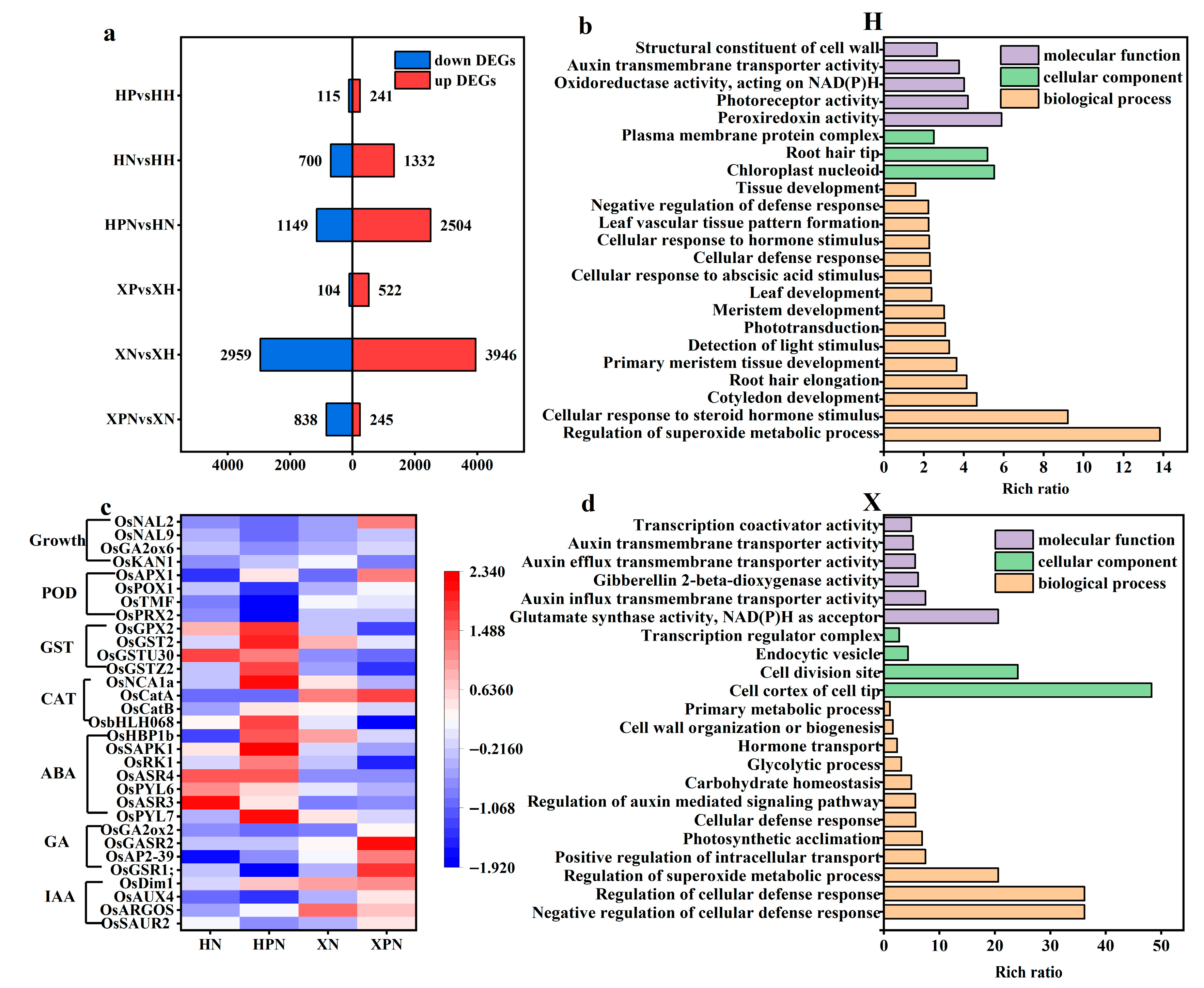 Antioxidants 14 00994 g006