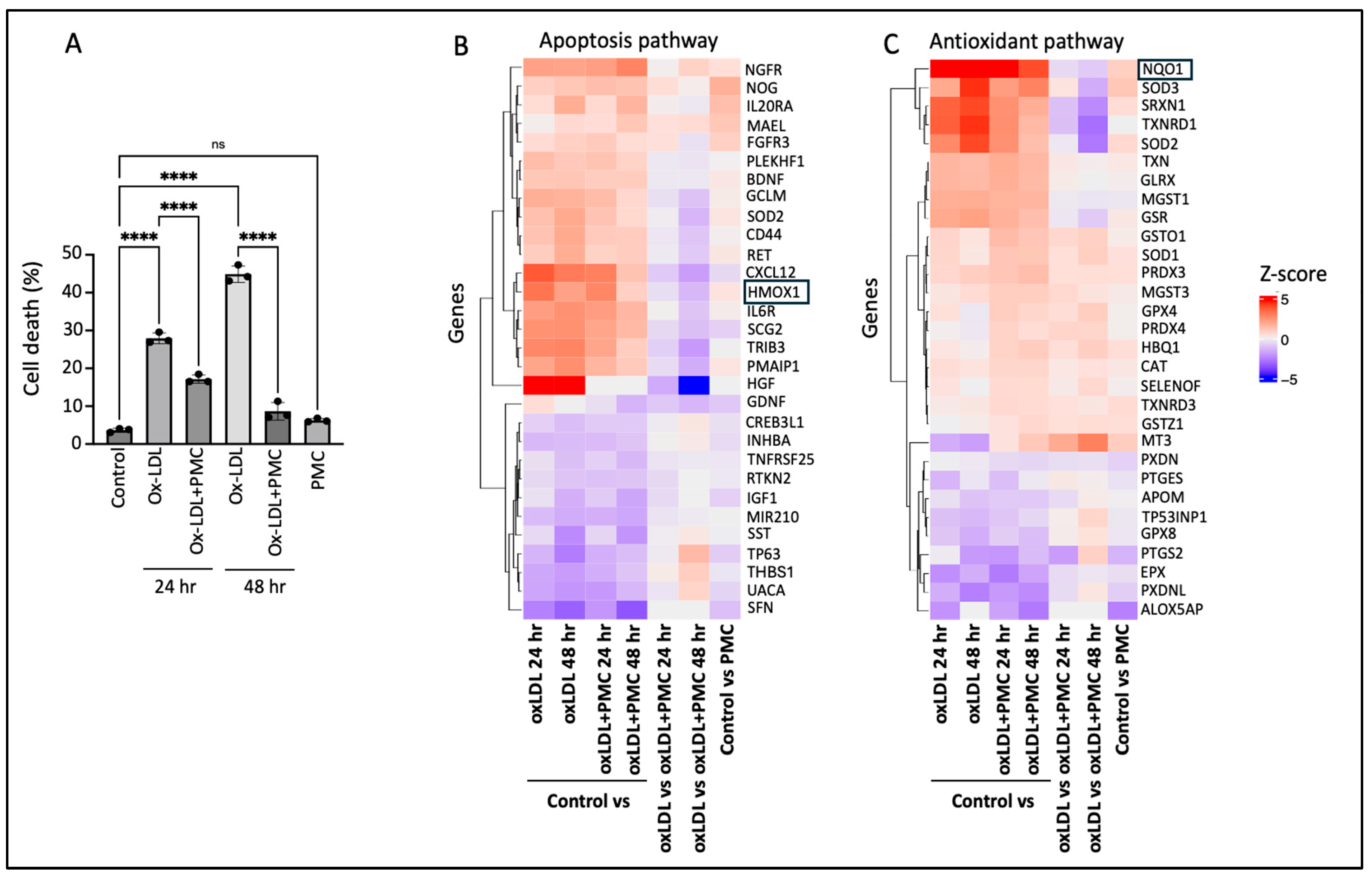 Antioxidants 14 00996 g001
