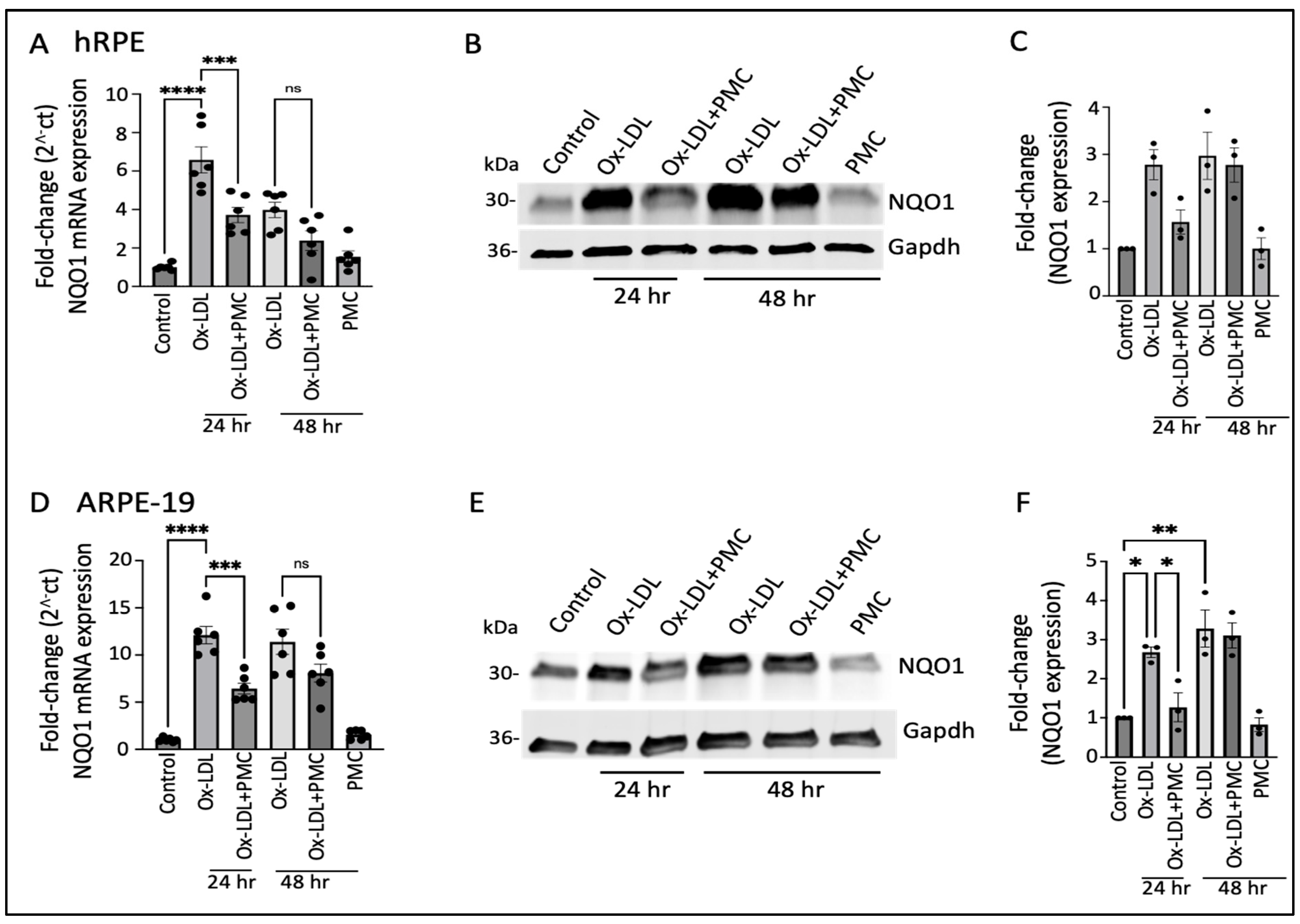 Antioxidants 14 00996 g003