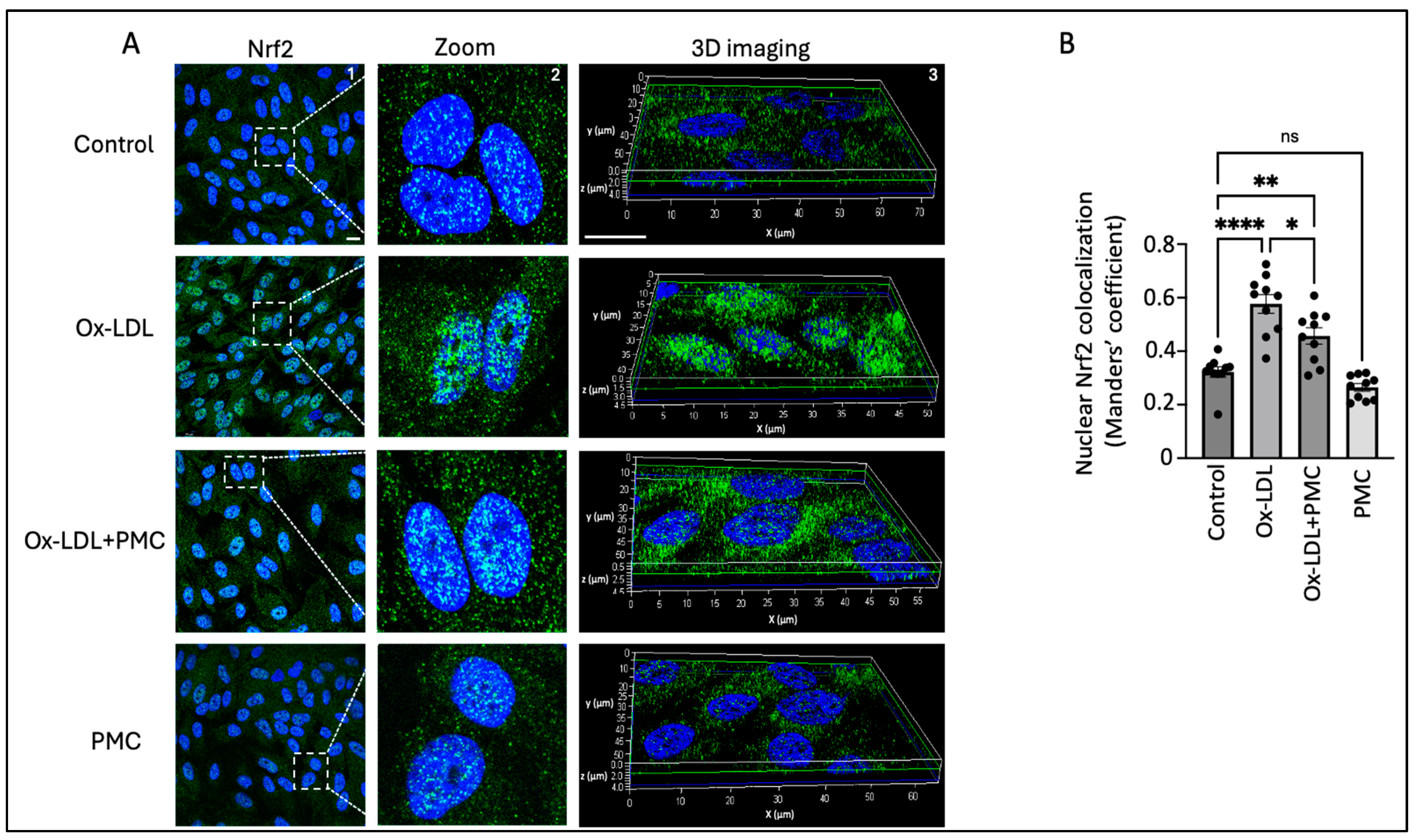 Antioxidants 14 00996 g005