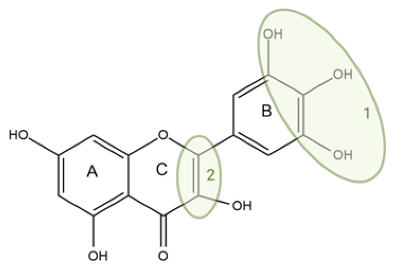 Antioxidants 14 00998 g006
