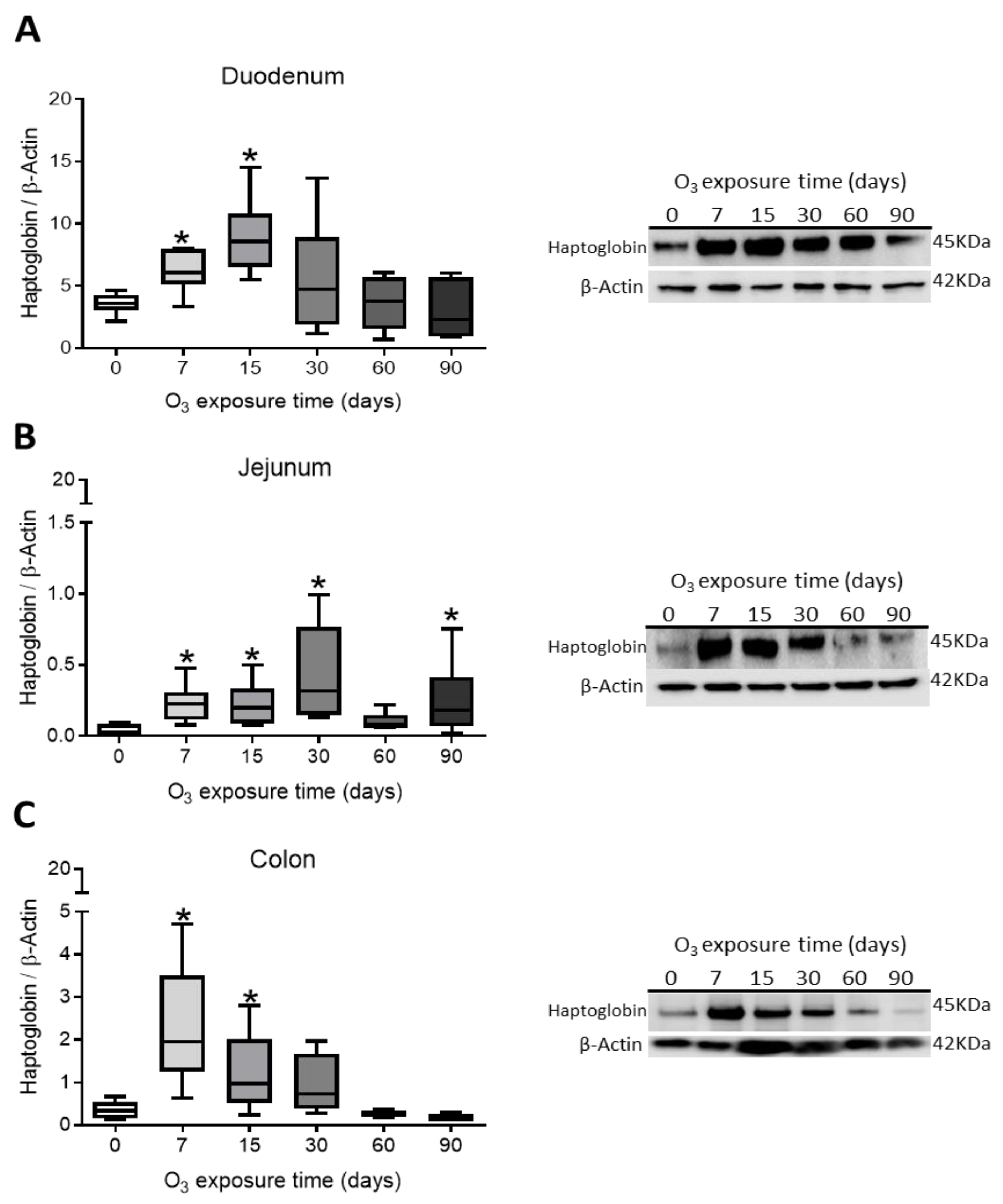 Antioxidants 14 01000 g002 Antioxidants 14 01000 g002