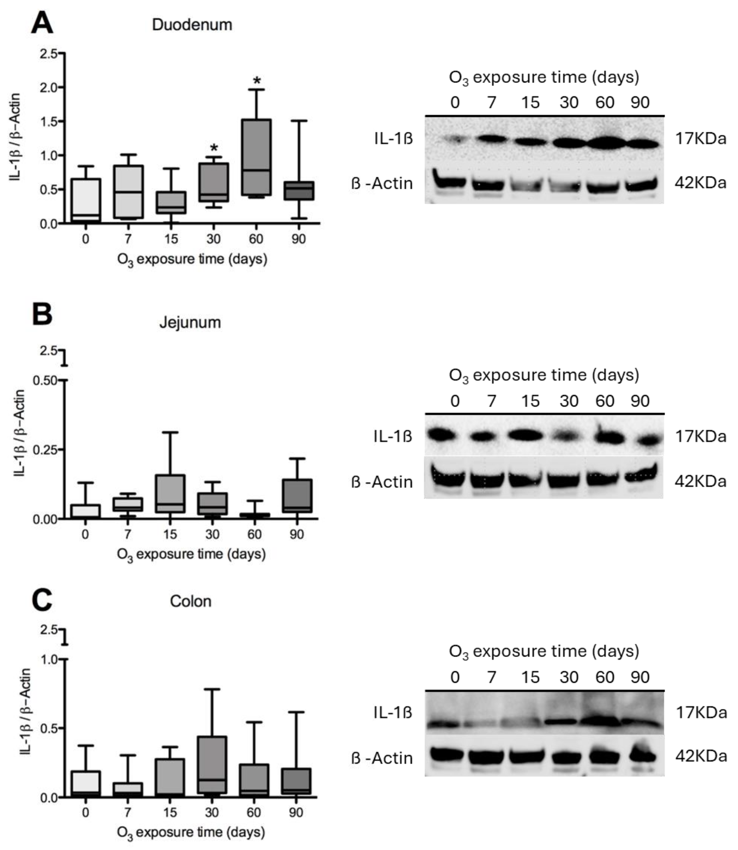 Antioxidants 14 01000 g003 Antioxidants 14 01000 g003