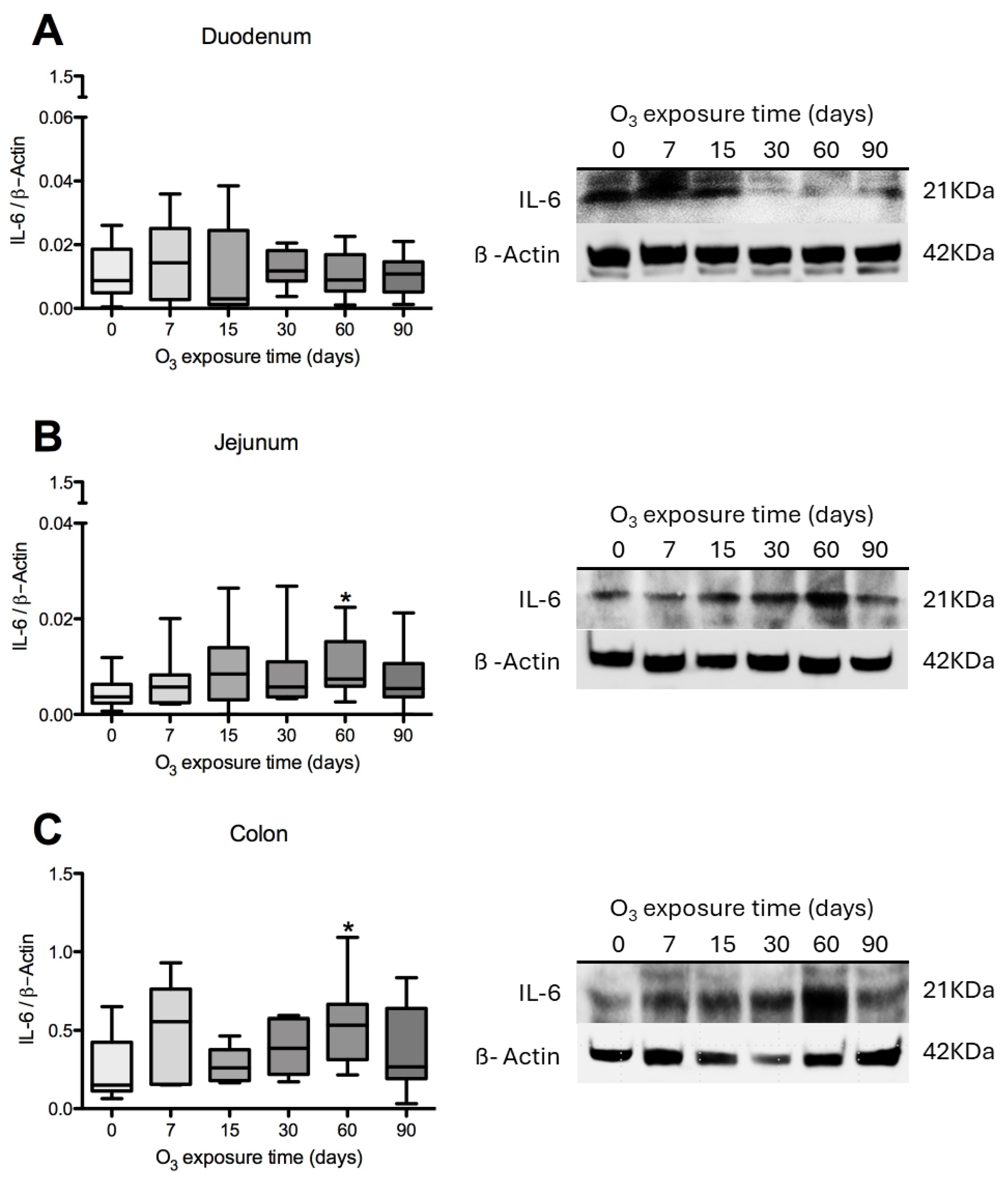Antioxidants 14 01000 g004 Antioxidants 14 01000 g004