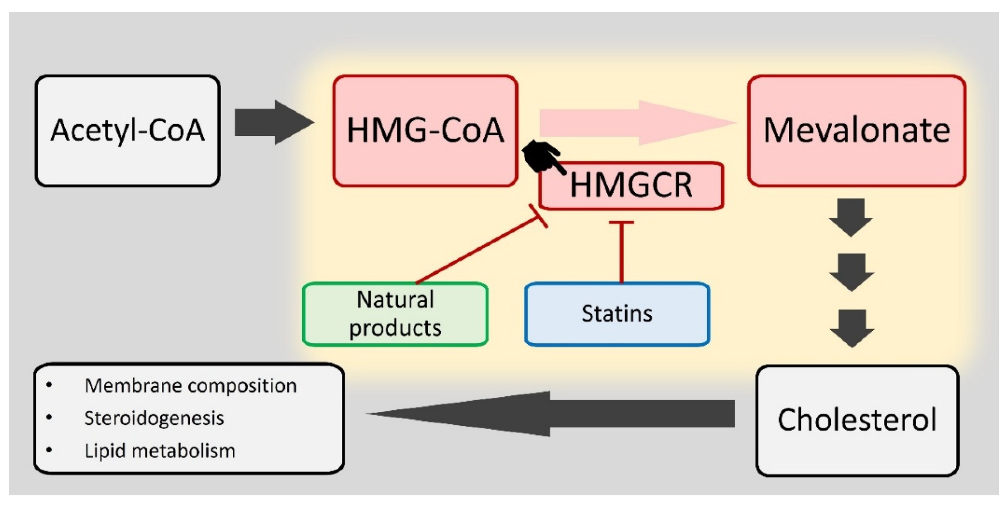Antioxidants 14 01001 g001