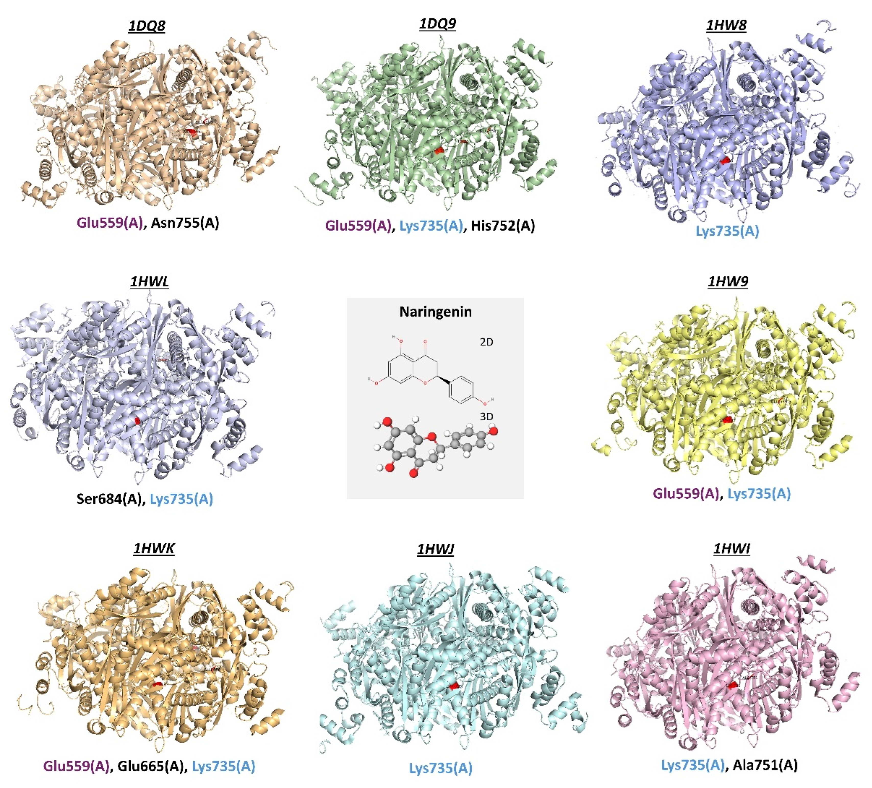 Antioxidants 14 01001 g004