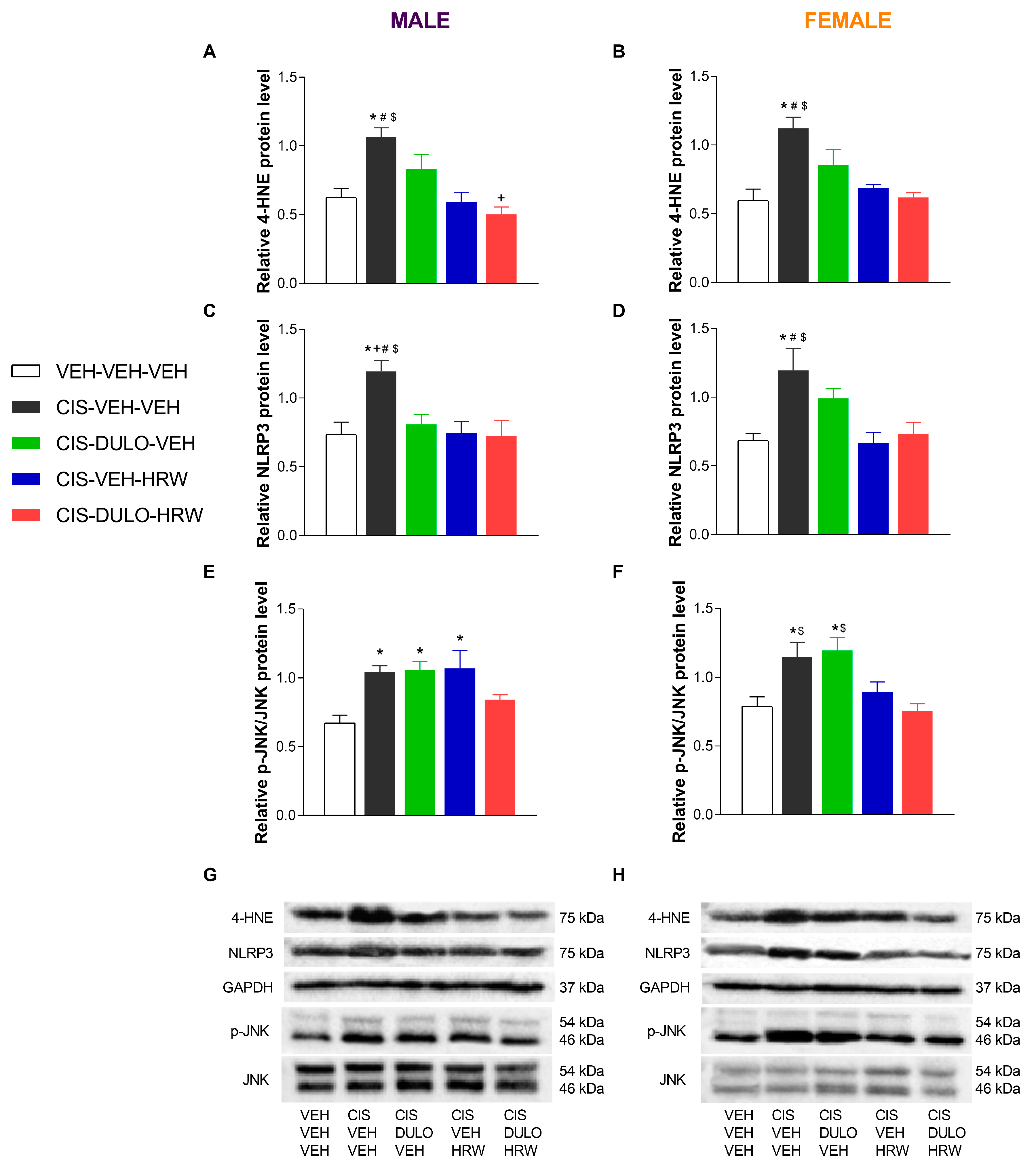 Antioxidants 14 01004 g010
