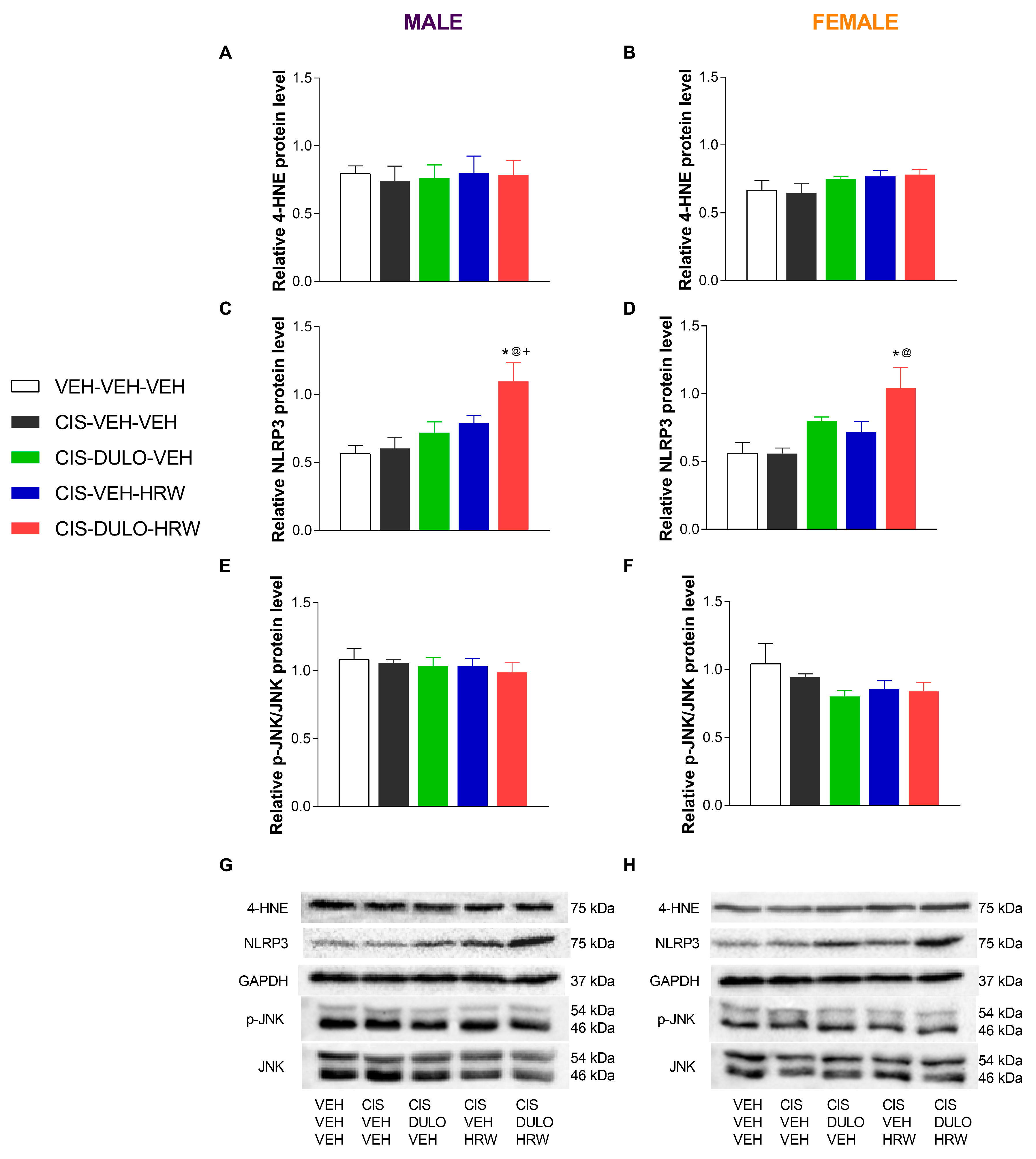 Antioxidants 14 01004 g011