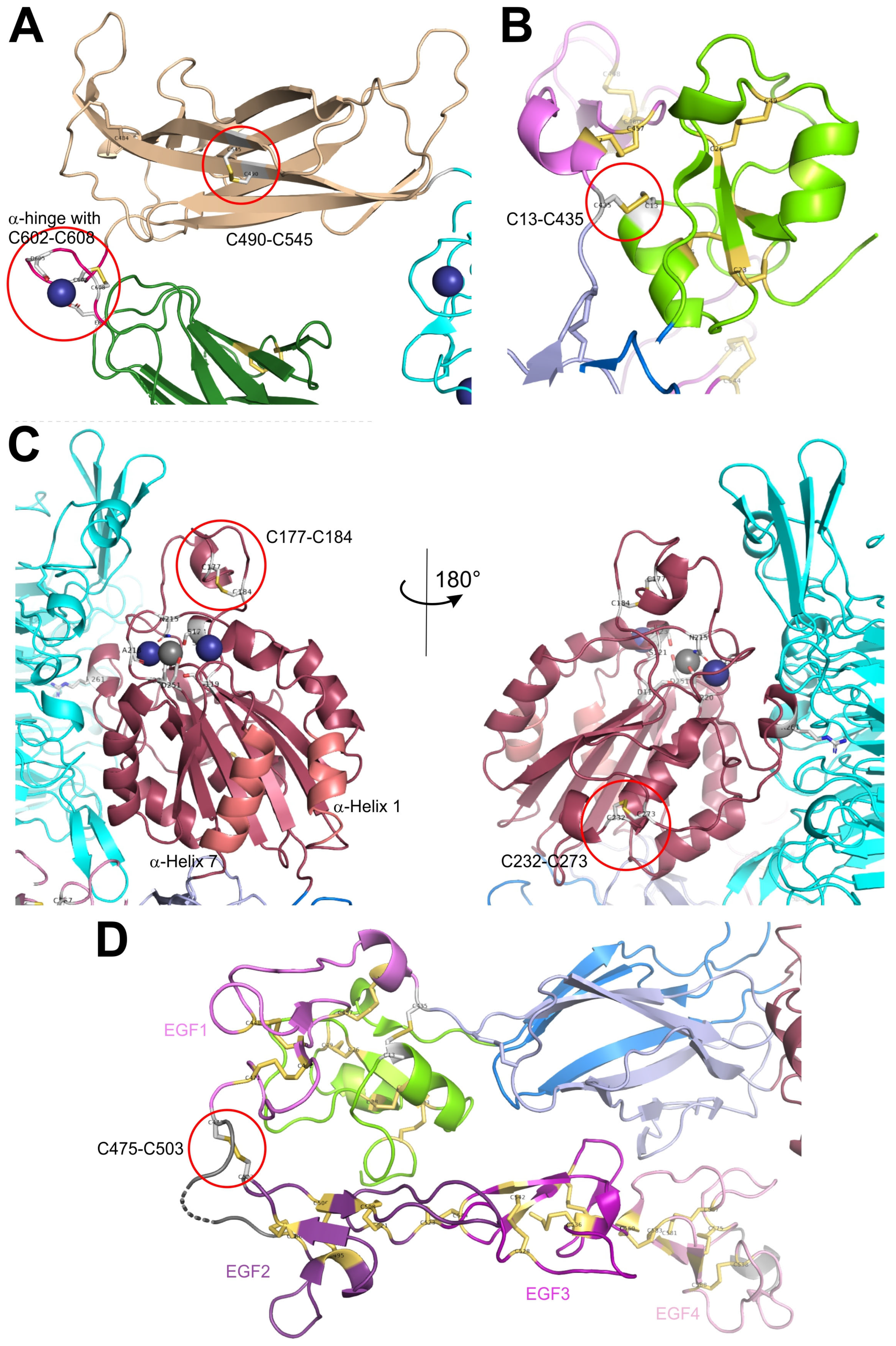 Antioxidants 14 01005 g002