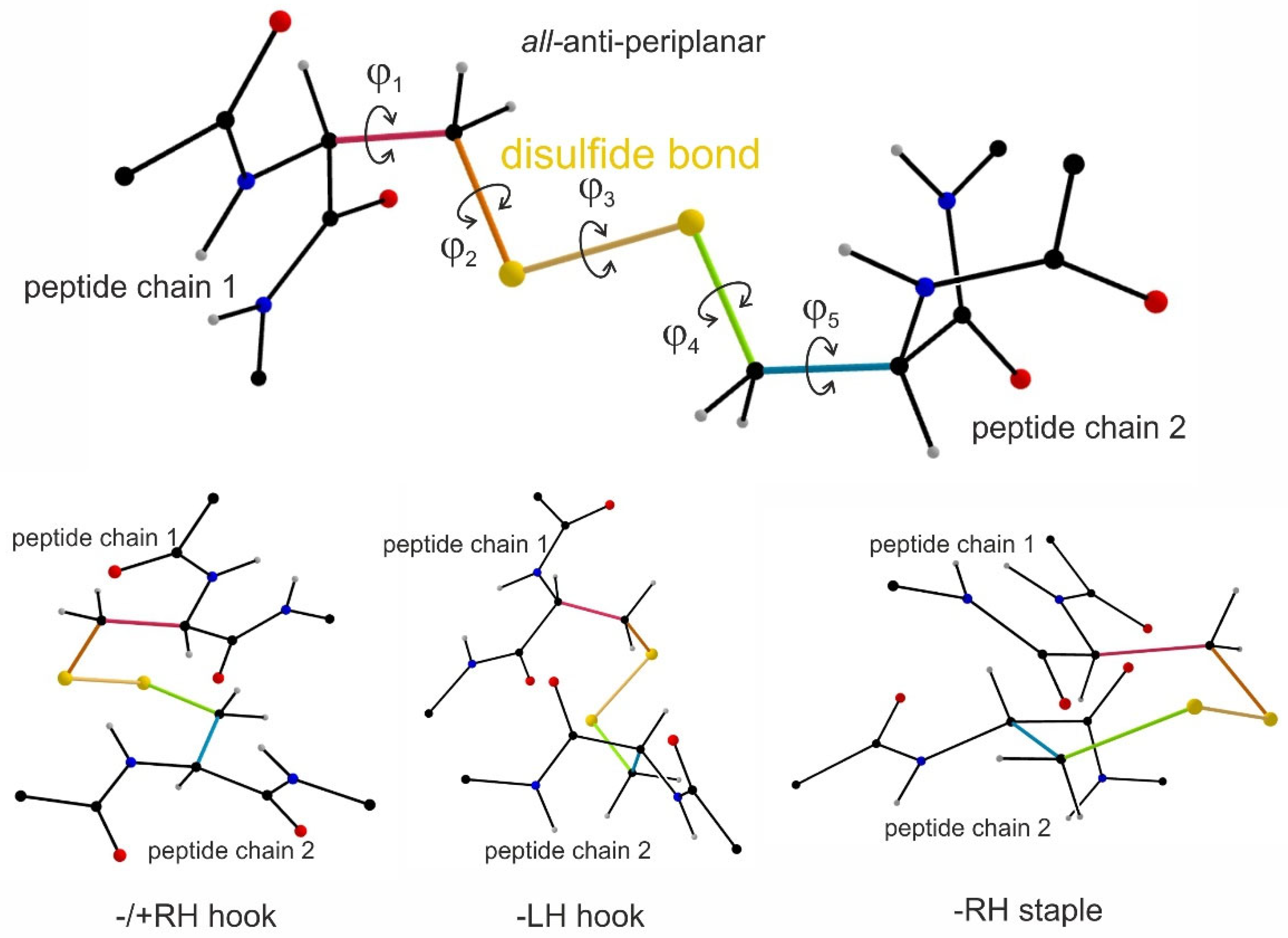 Antioxidants 14 01005 g003
