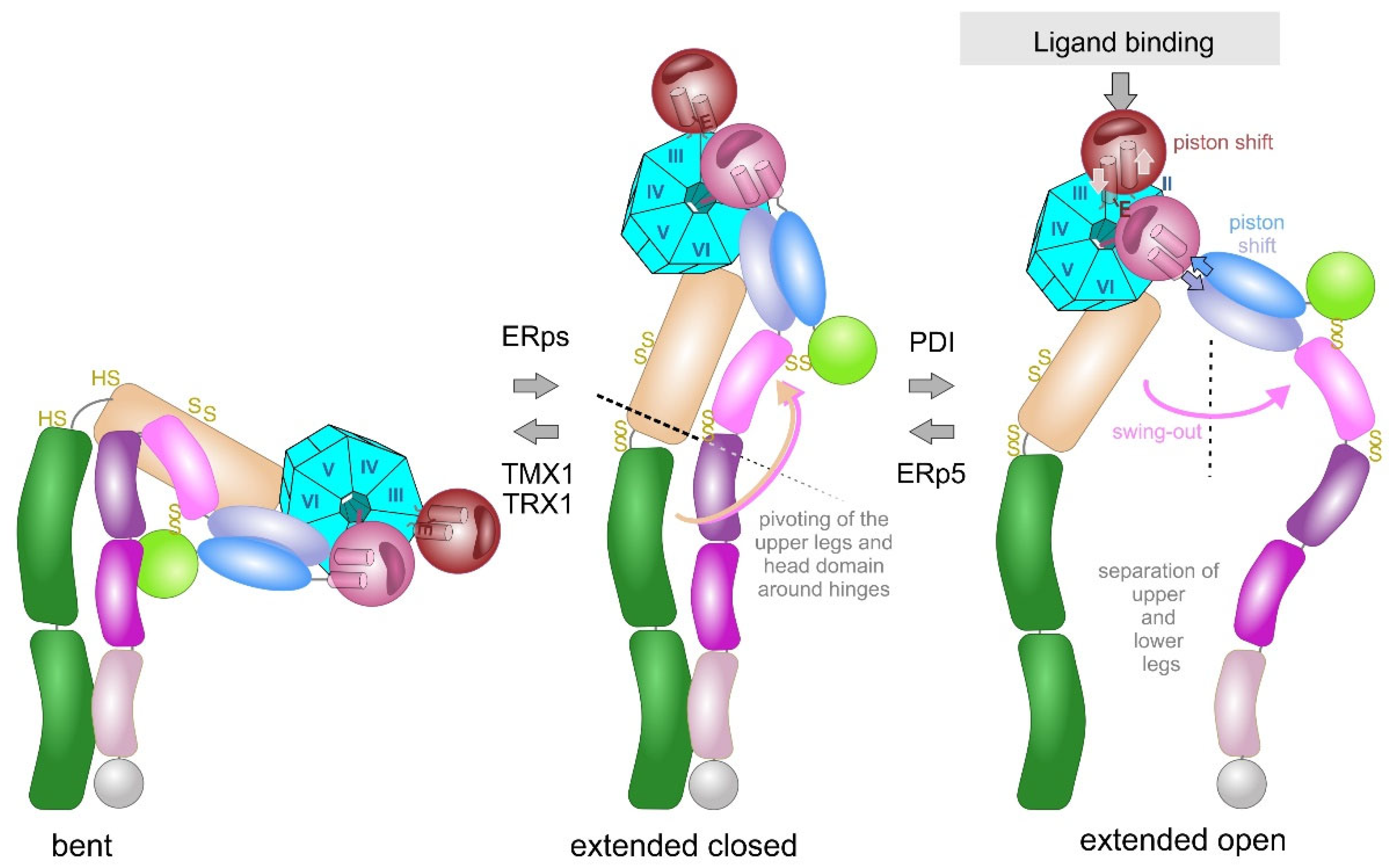 Antioxidants 14 01005 g005