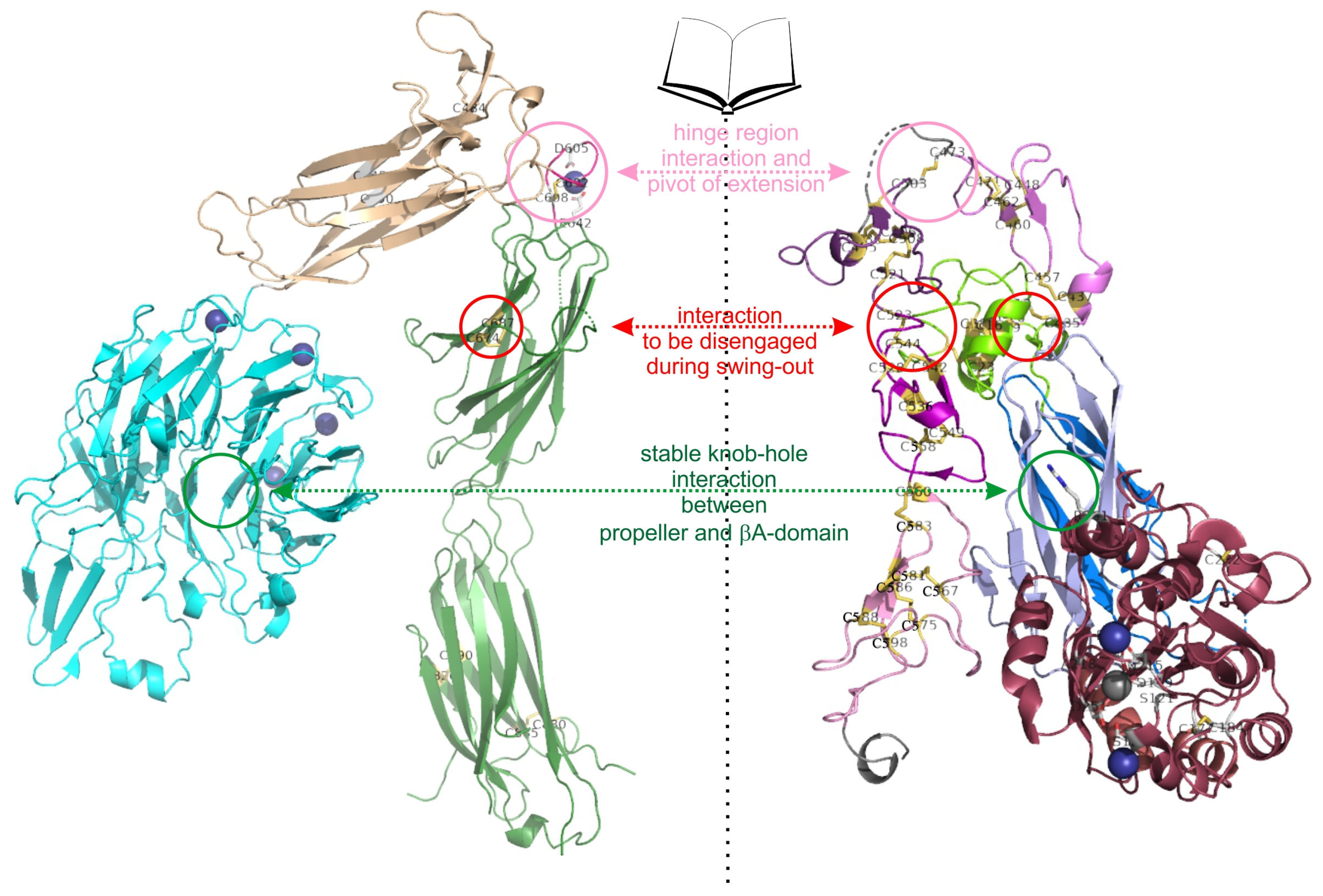 Antioxidants 14 01005 g006