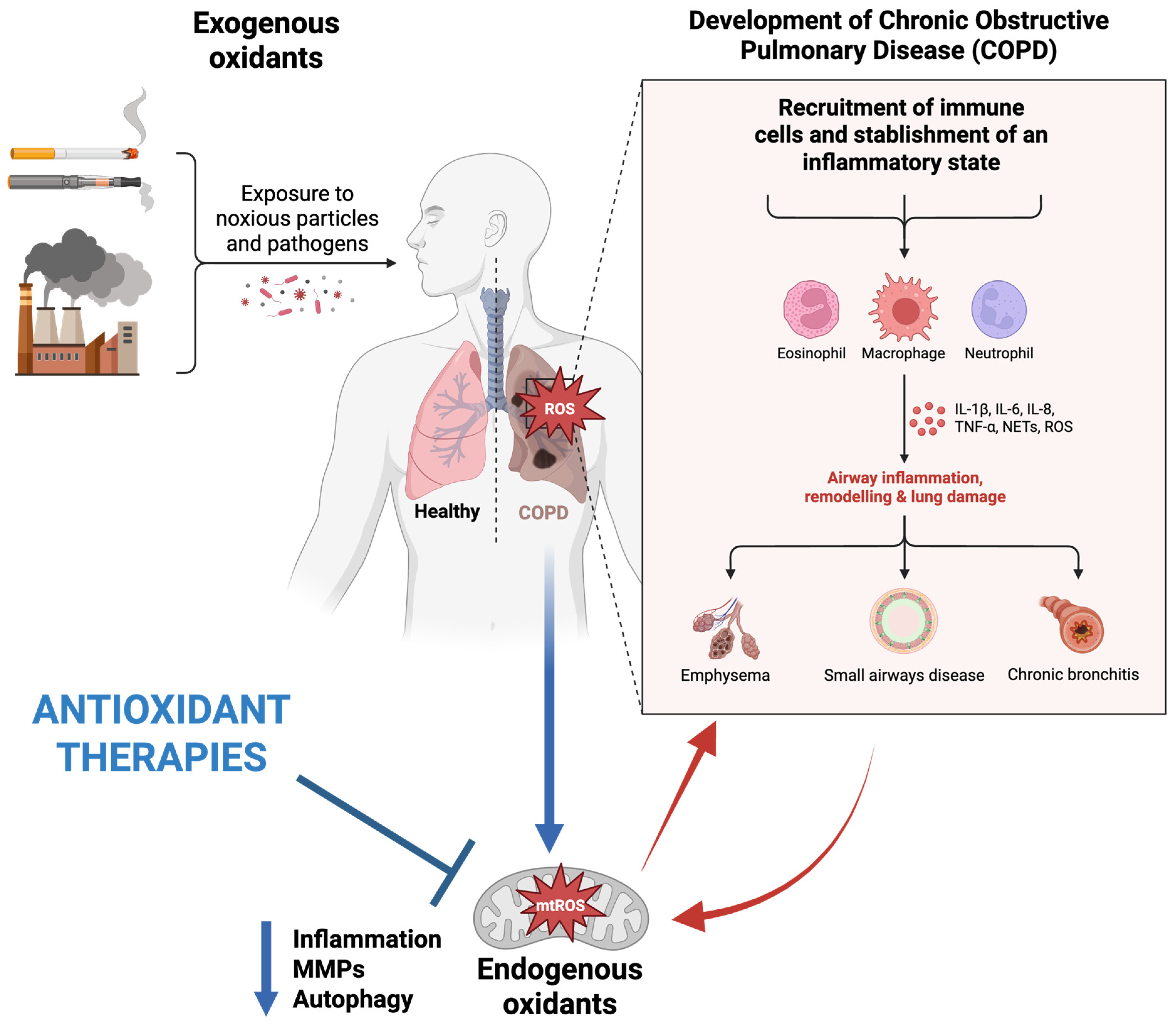 Antioxidants 14 01007 g002