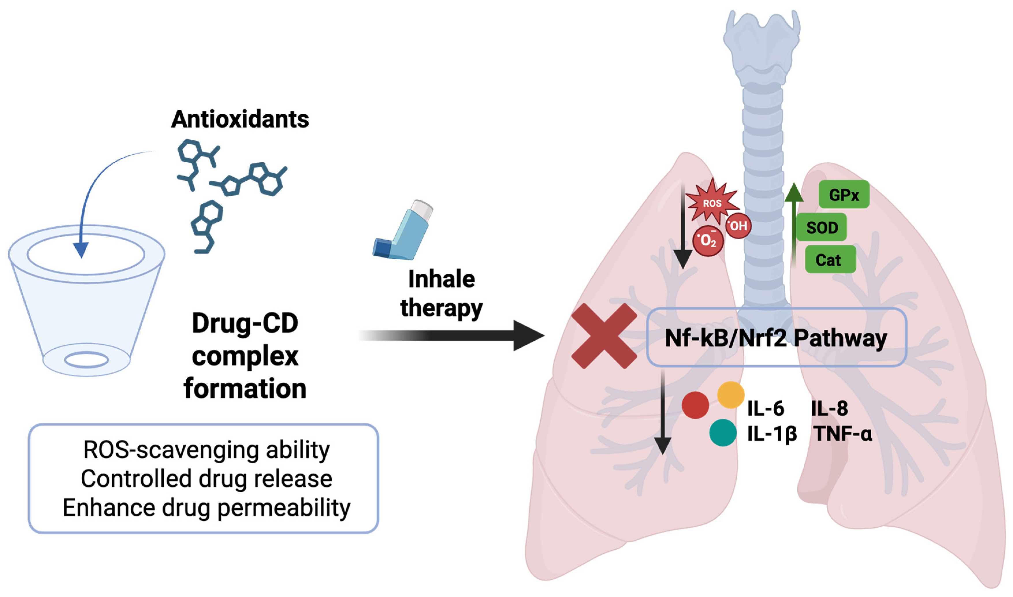 Antioxidants 14 01007 g004