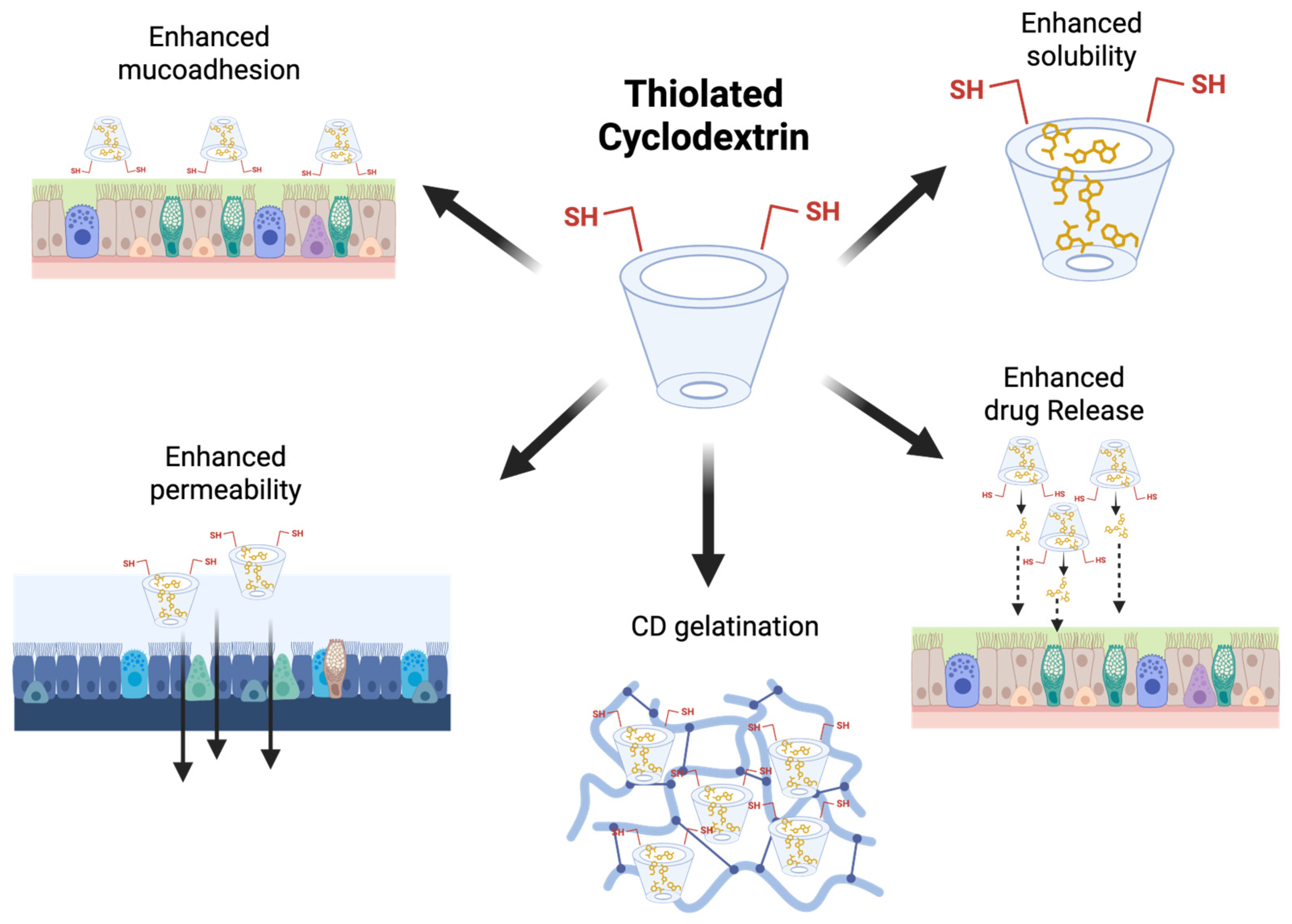Antioxidants 14 01007 g005