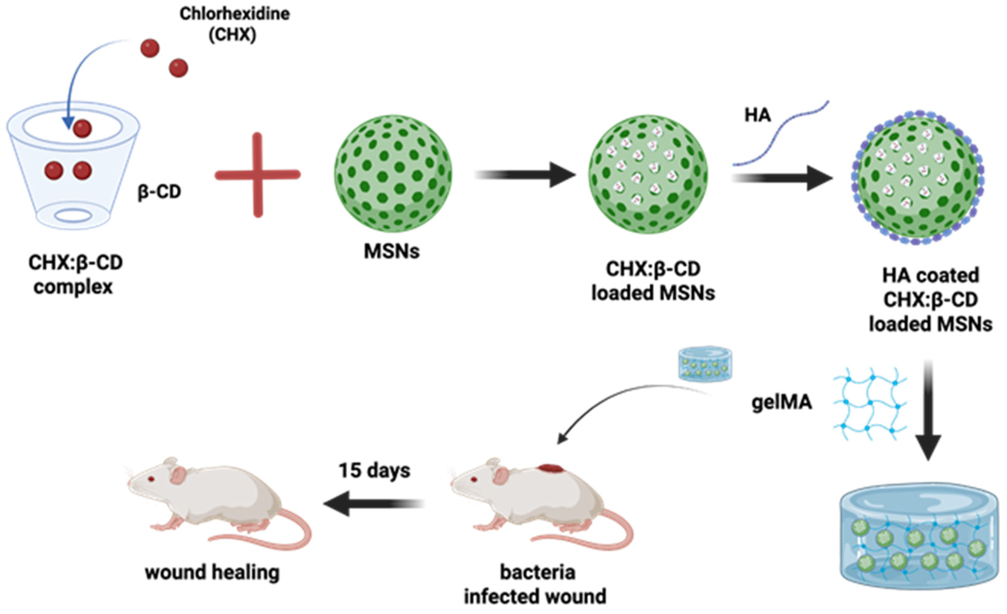 Antioxidants 14 01007 g006