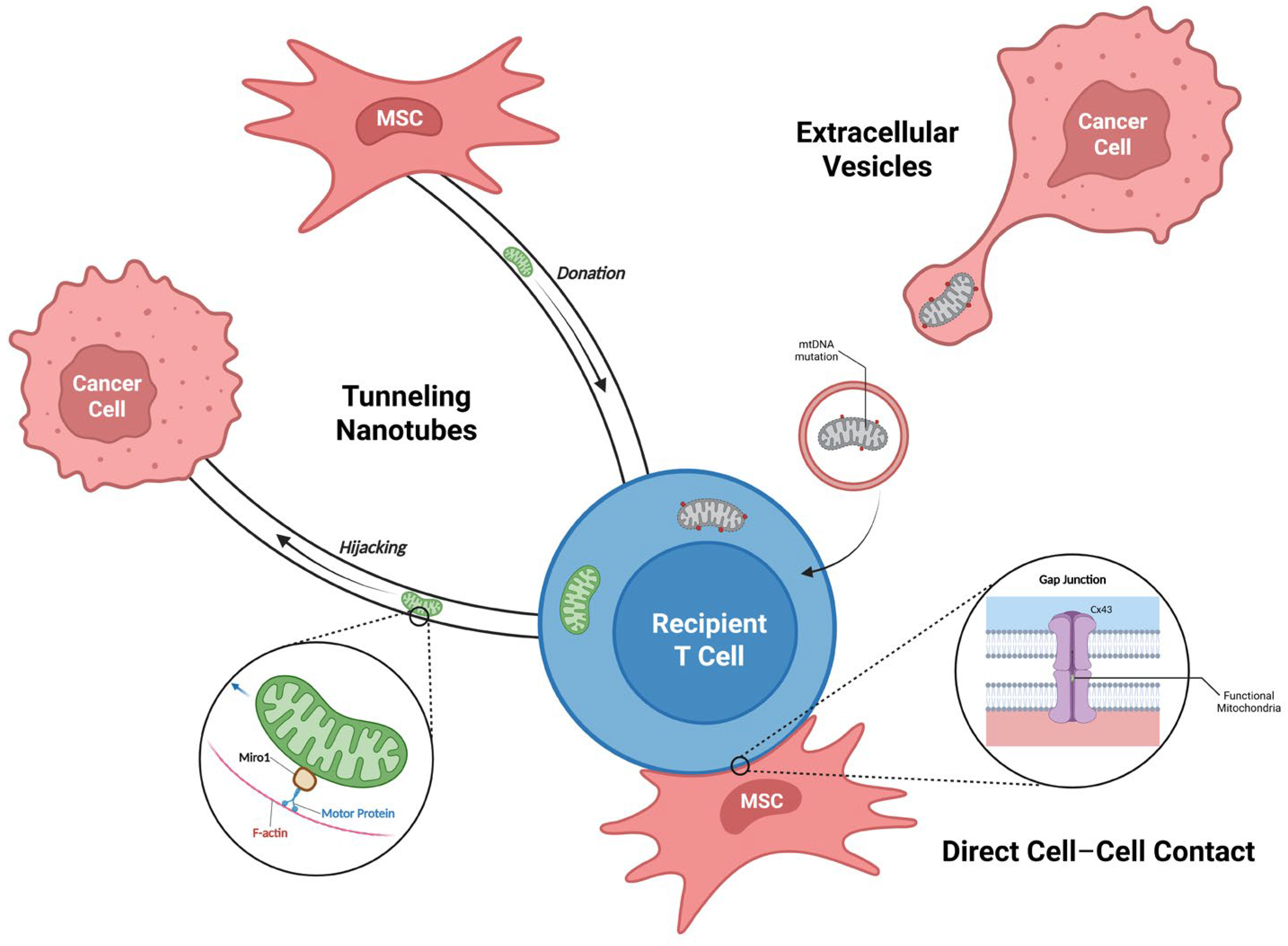 Antioxidants 14 01008 g002