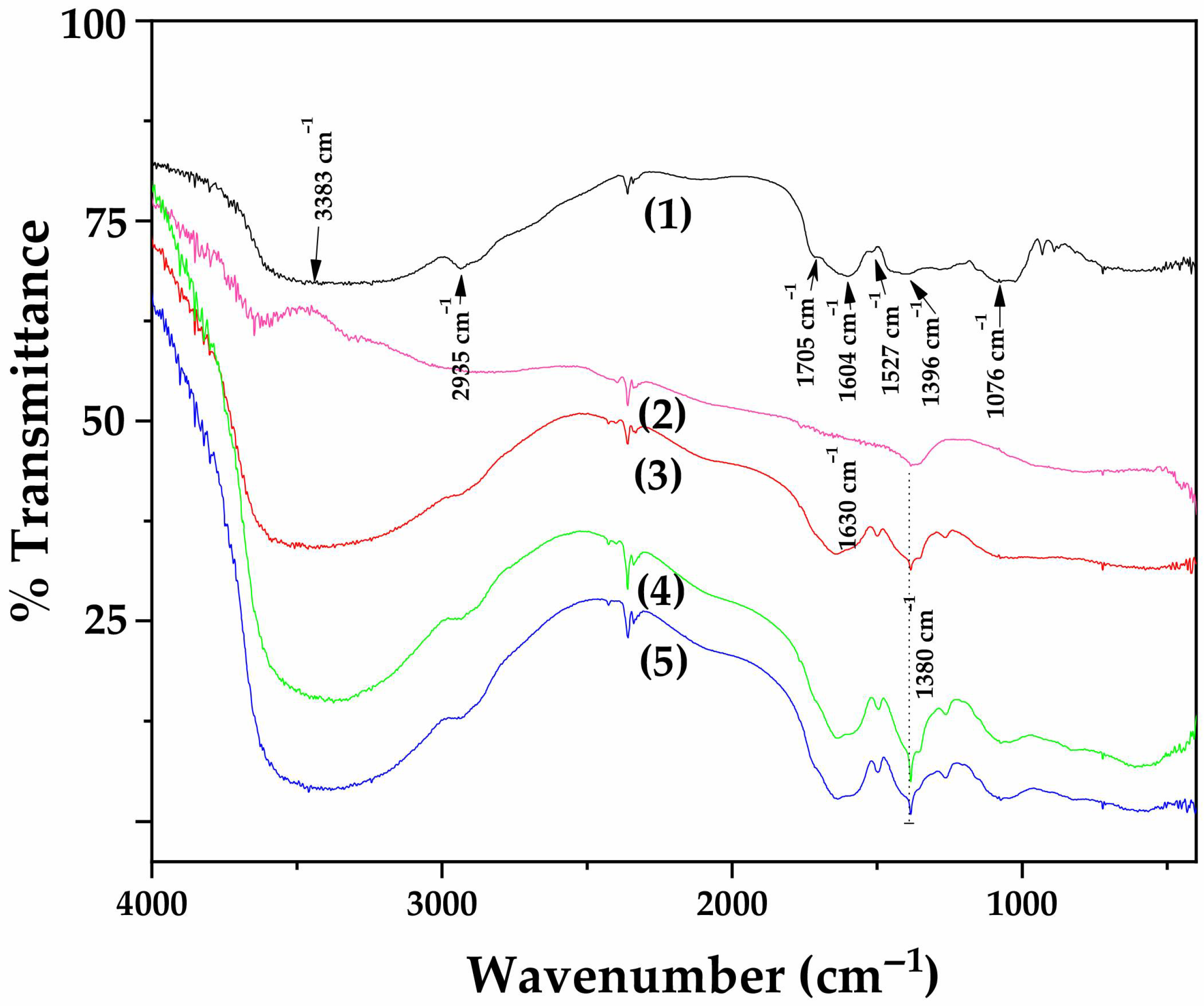 Antioxidants 14 01010 g003