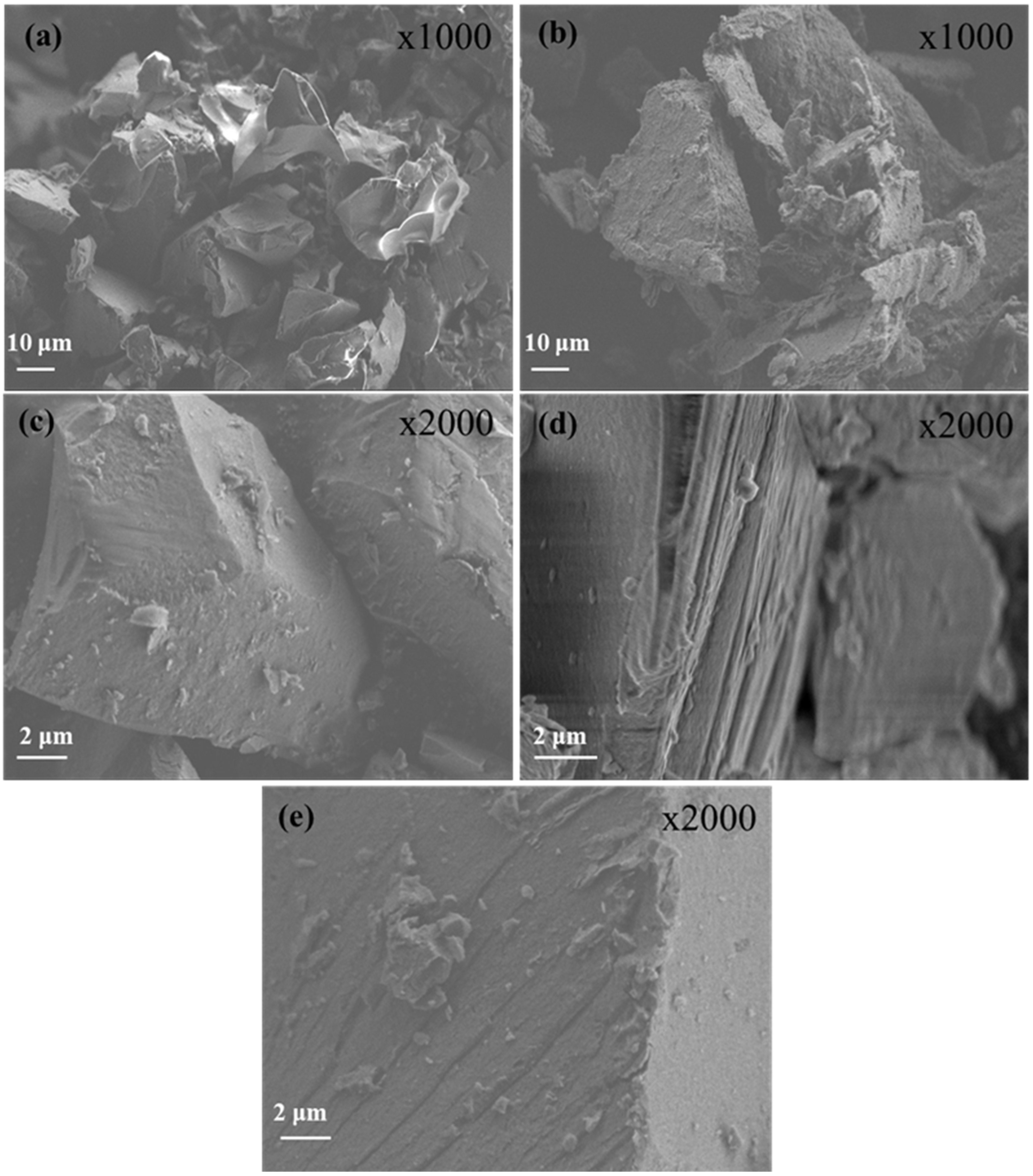 Antioxidants 14 01010 g004