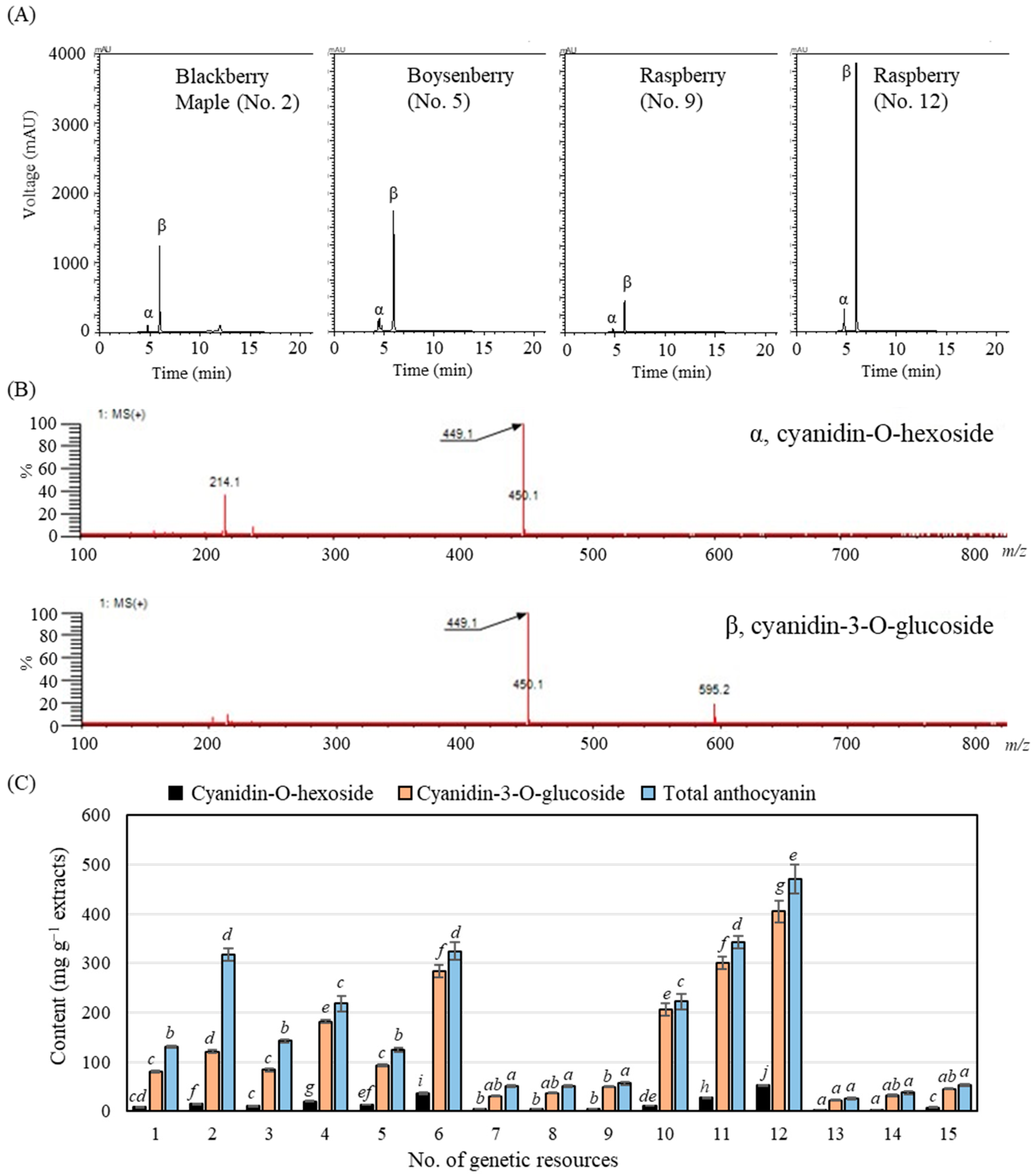 Antioxidants 14 01012 g003