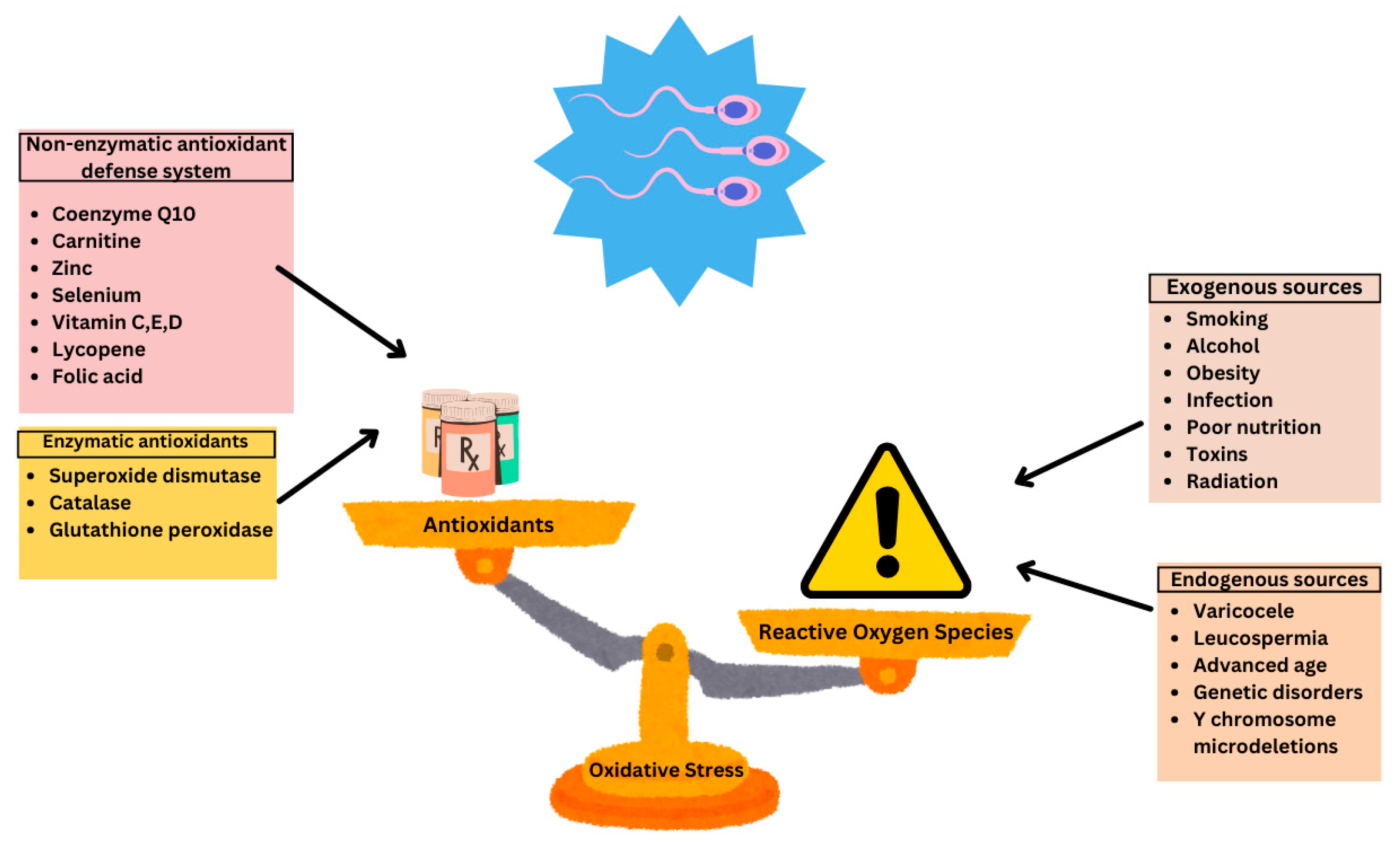 Antioxidants 14 01013 g001