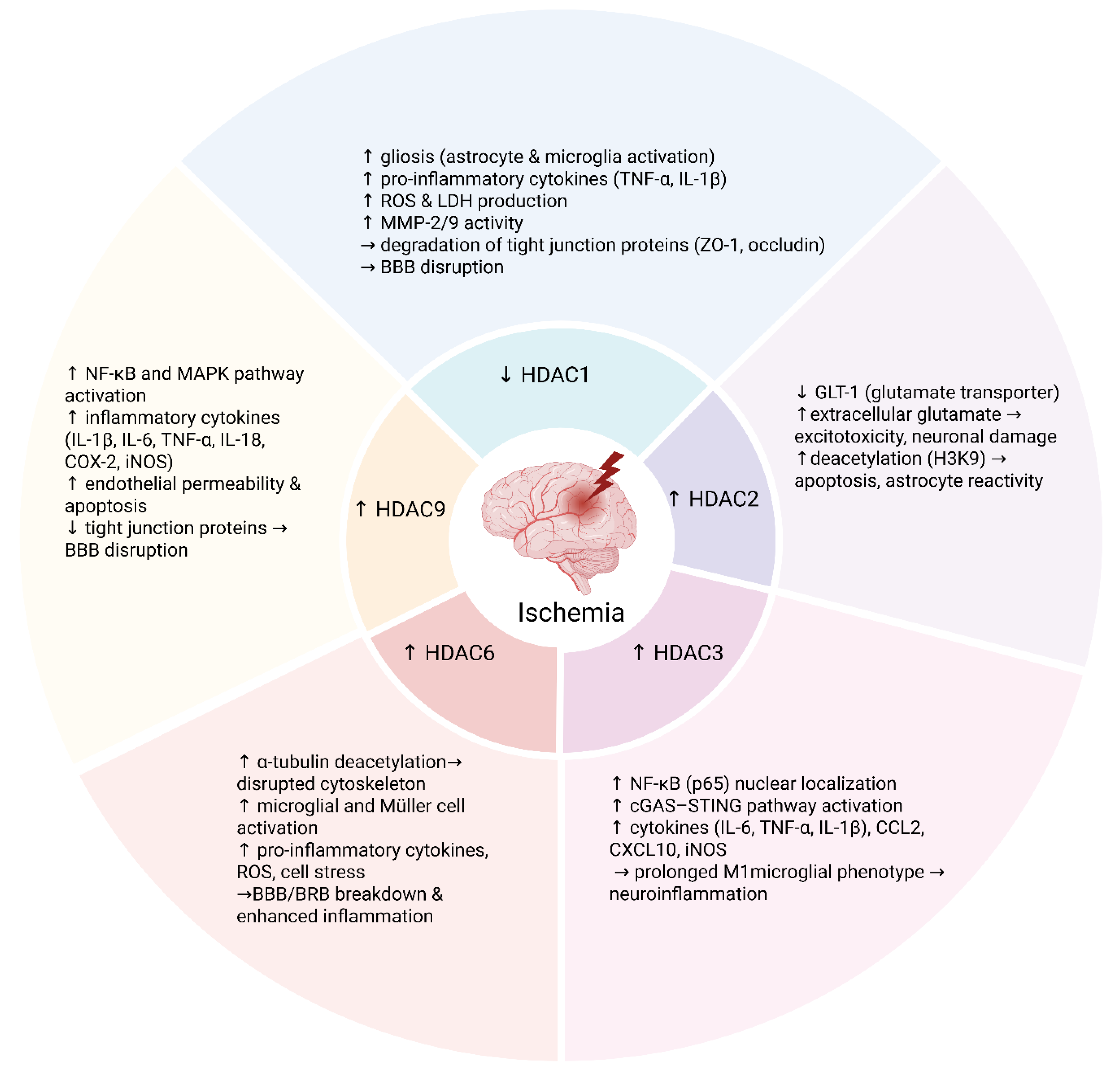 Antioxidants 14 01015 g001