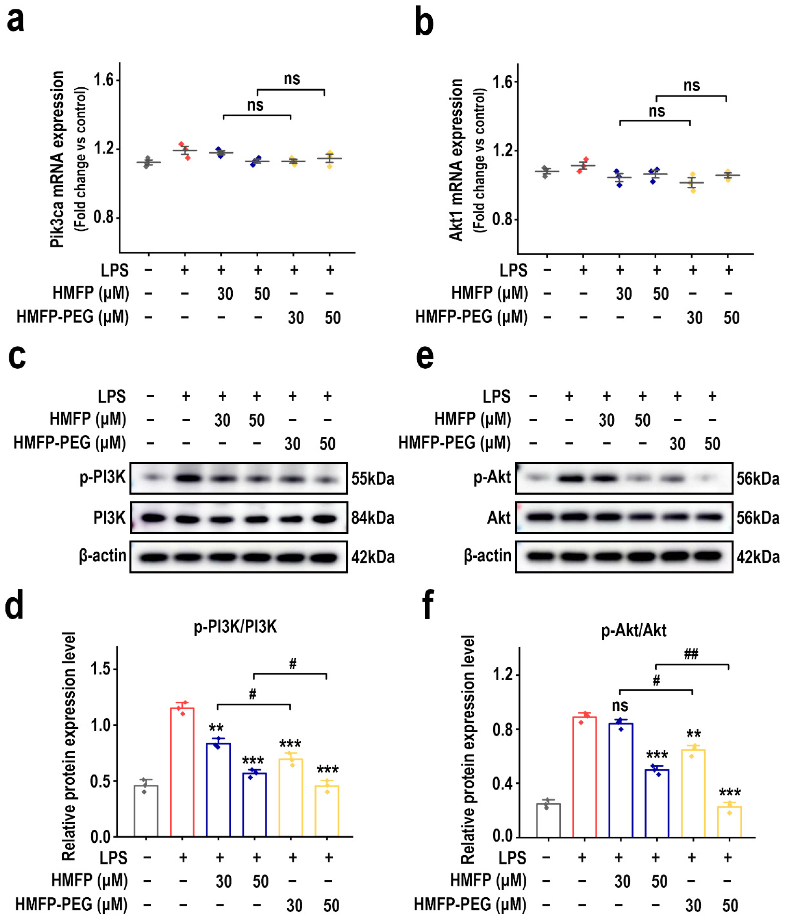 Antioxidants 14 01021 g003