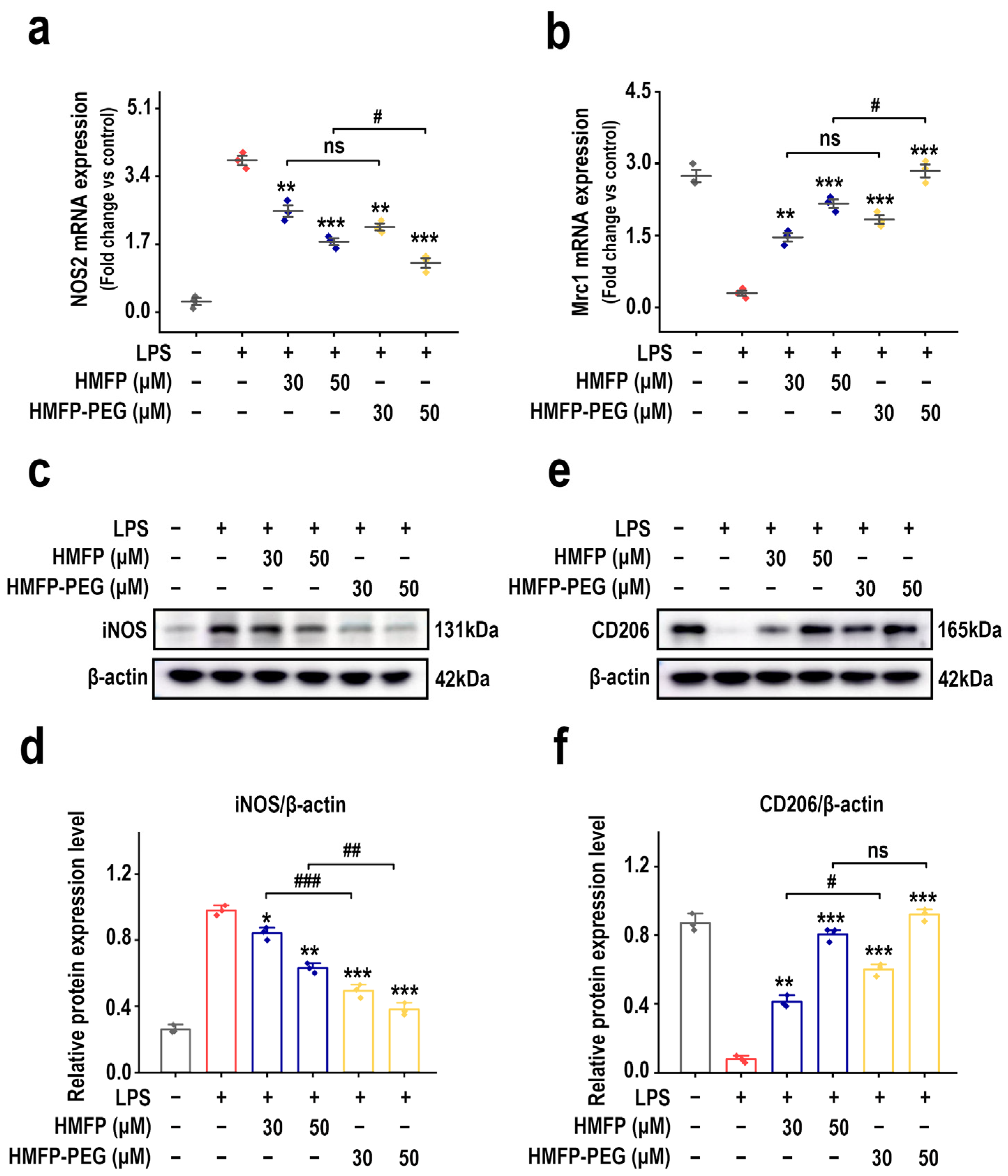 Antioxidants 14 01021 g005