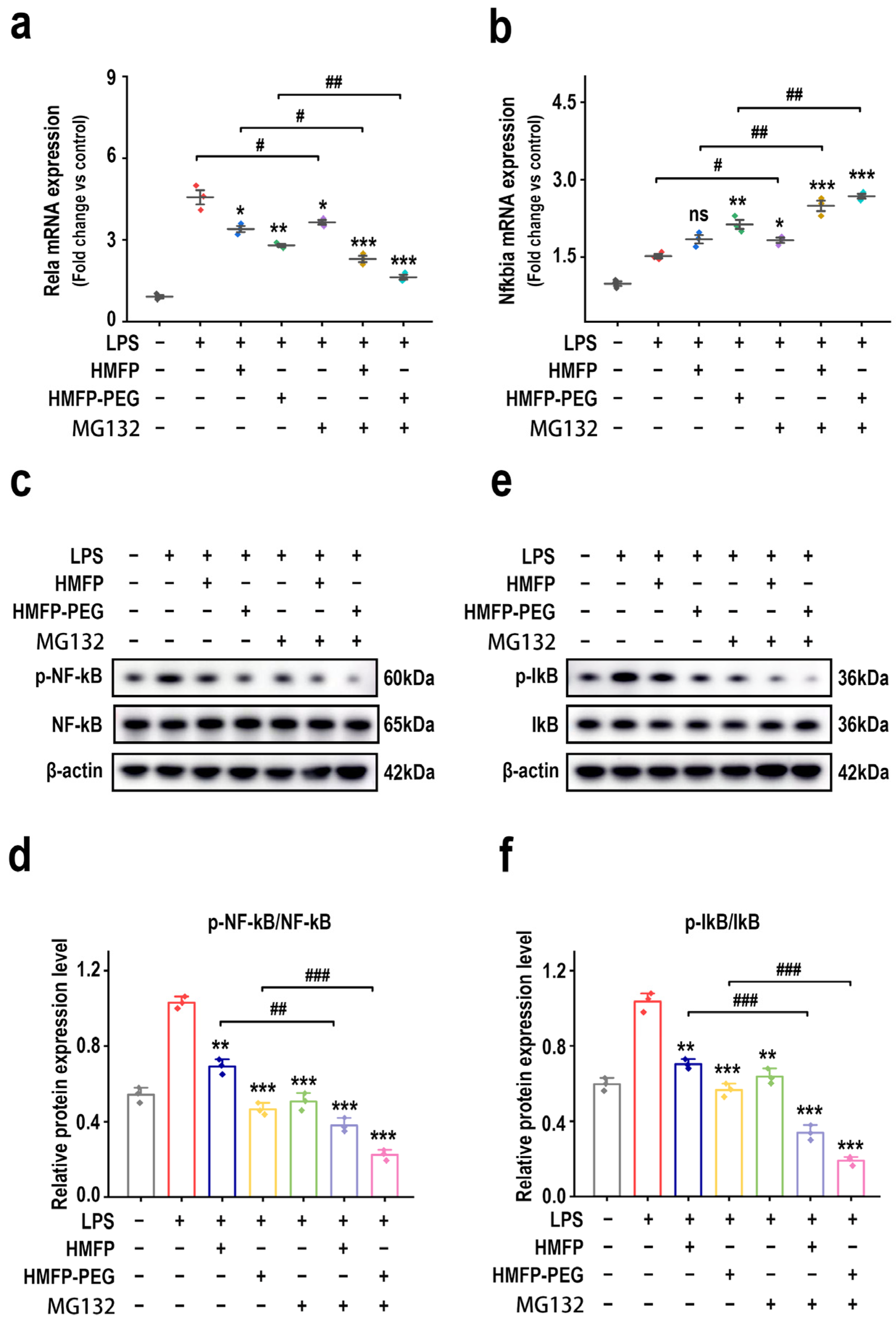 Antioxidants 14 01021 g006
