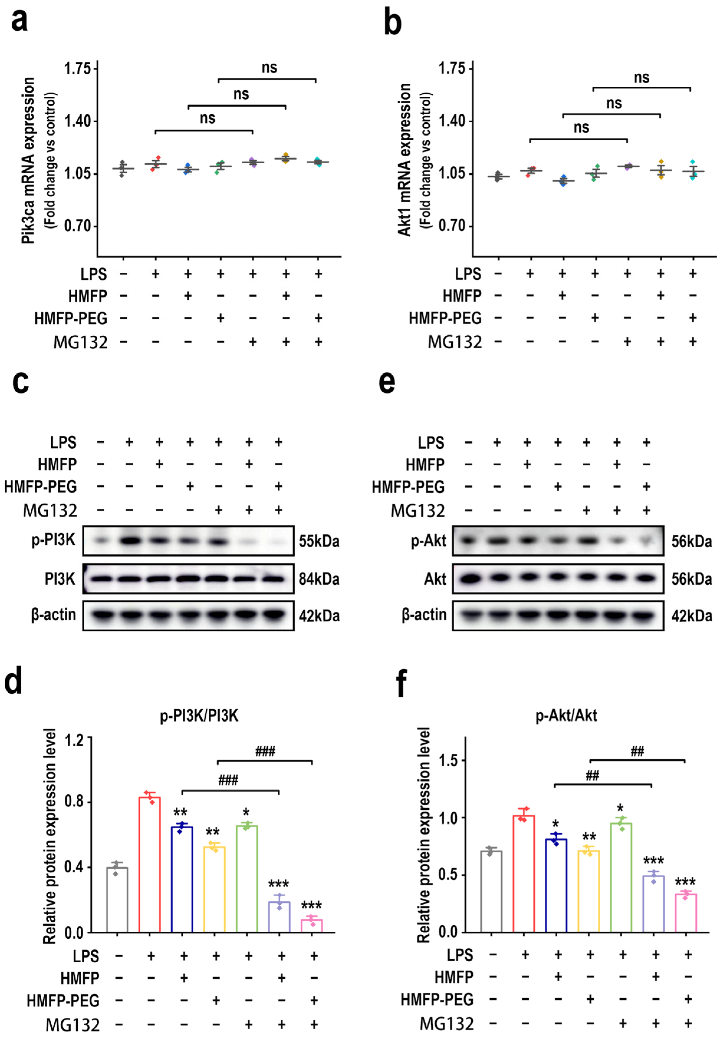 Antioxidants 14 01021 g007