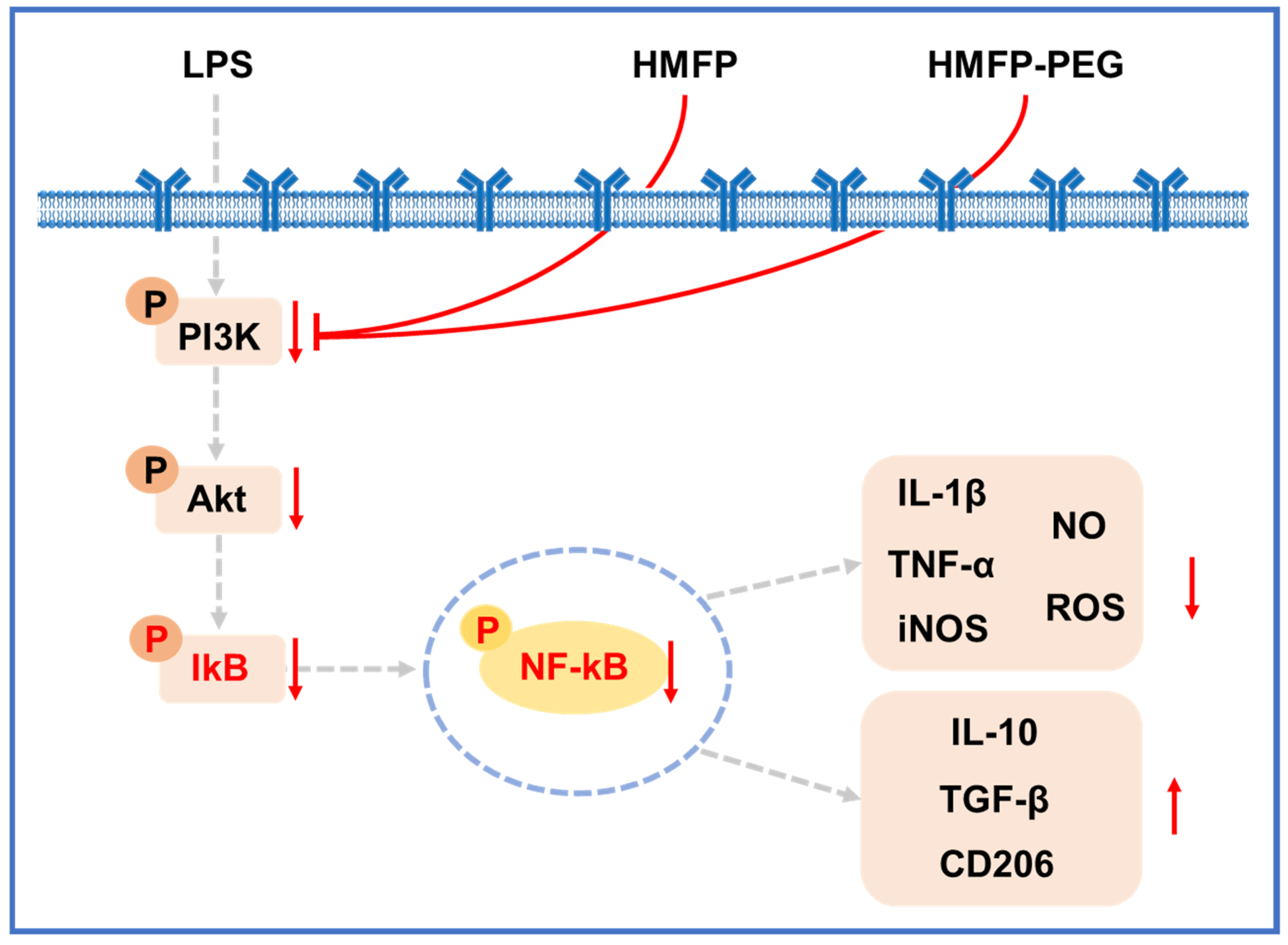 Antioxidants 14 01021 g009